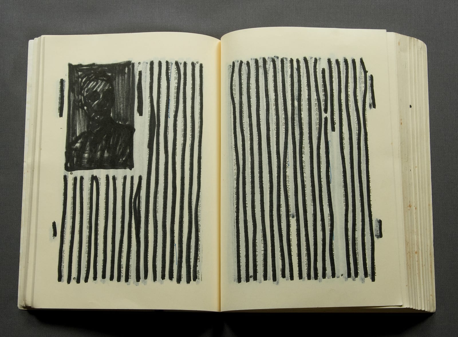 Shi Jin-Hua, Modern Chinese History, 2005-2009
