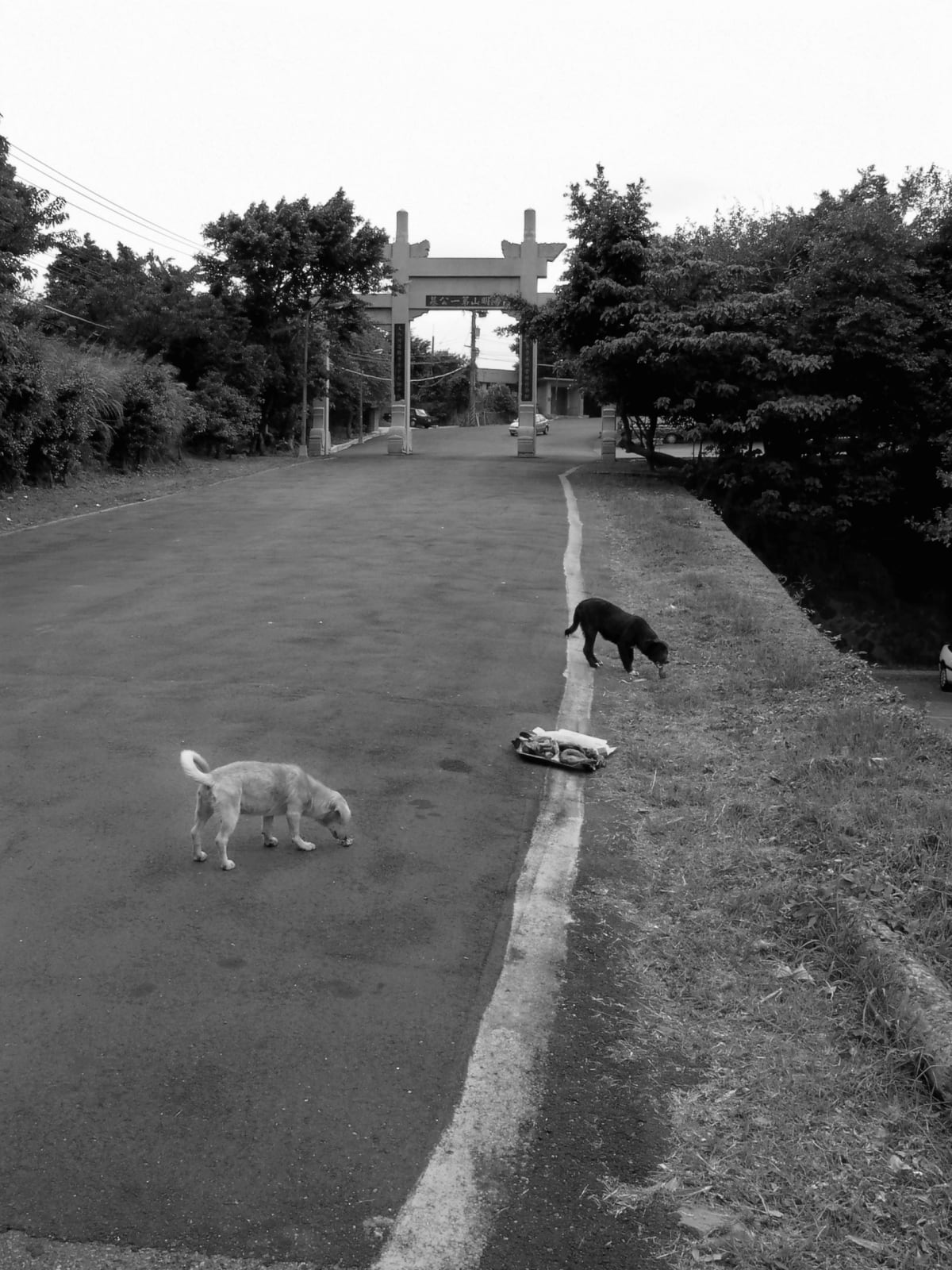 Shi Jin-Hua, Cantonese-style Barbeque Project, 1996-2002