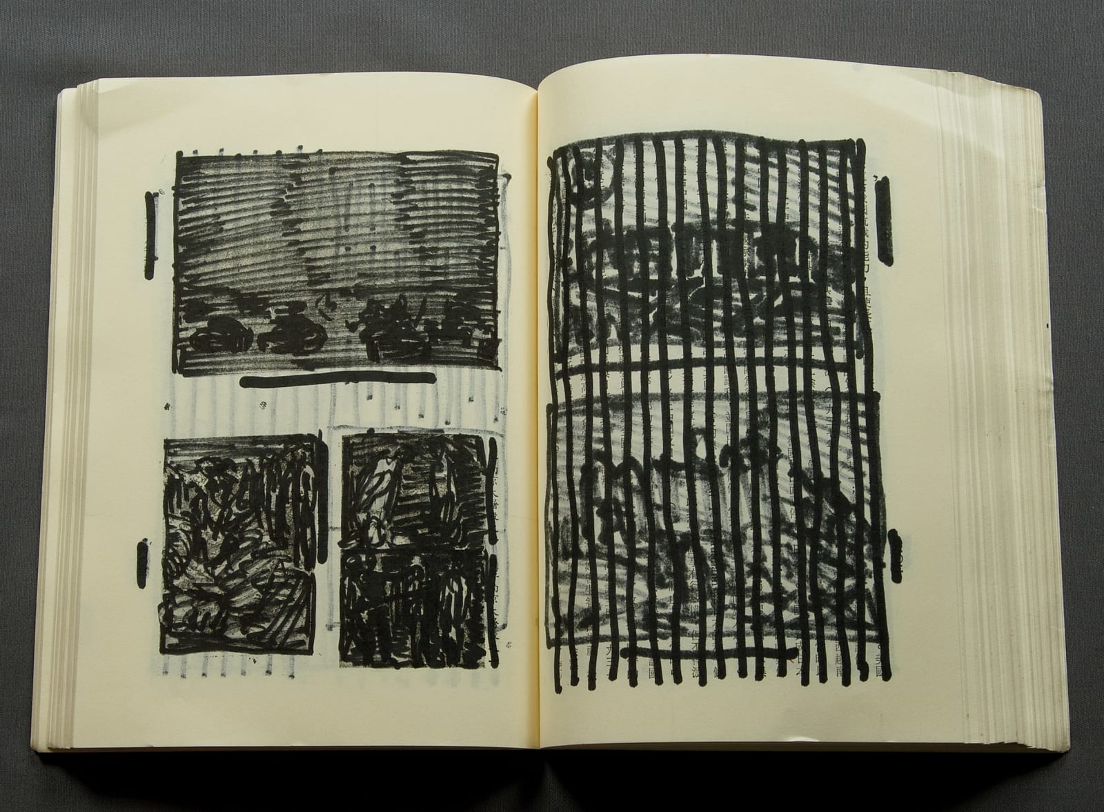 Shi Jin-Hua, Modern Chinese History, 2005-2009