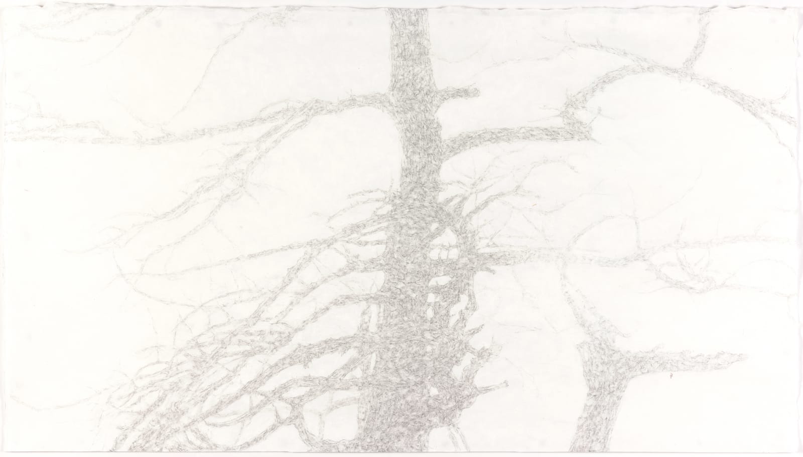 Shi Jin-Hua, The Sacrifice Tree, 2017