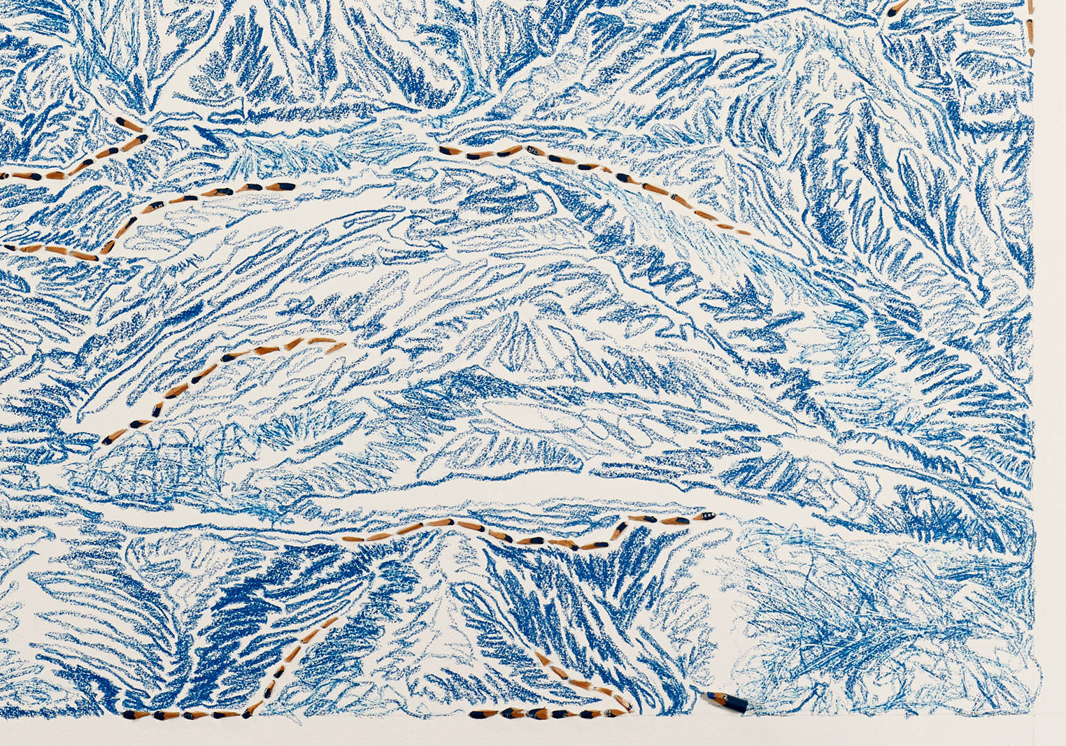 Shi Jin-Hua, Pen Walking #144, 2015