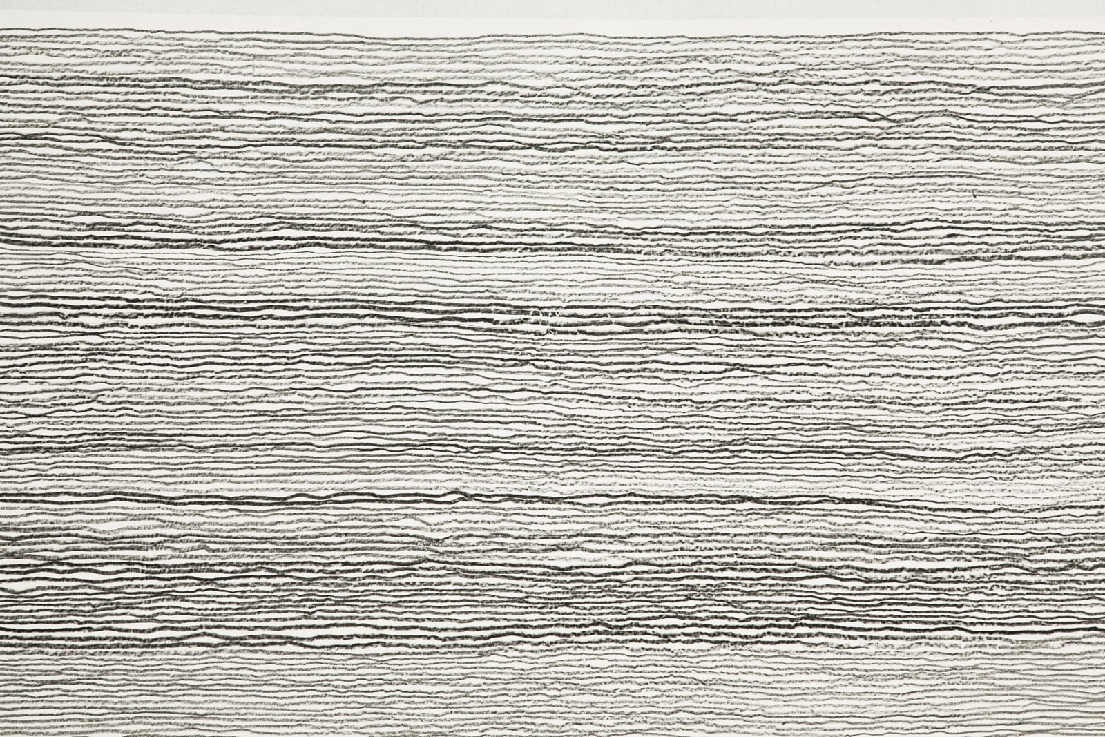 Shi Jin-Hua, Pen Walking #114, 2011