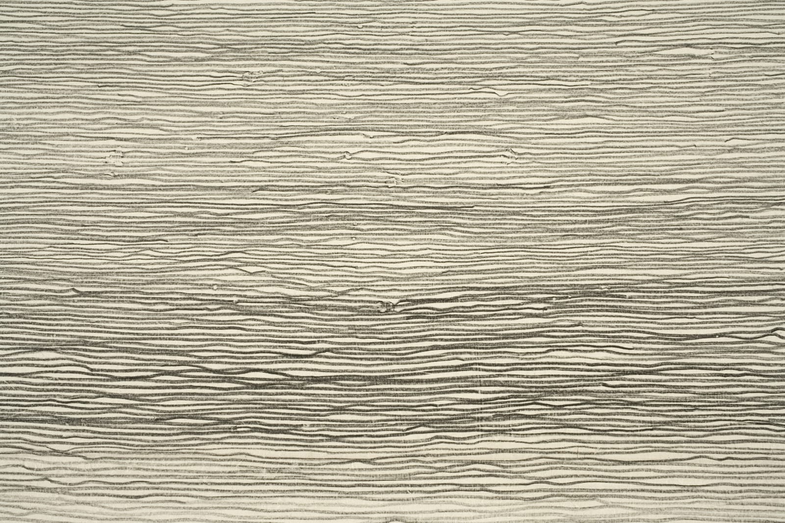Shi Jin-Hua, Pen Walking #61, 2008