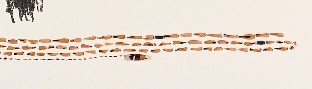 Shi Jin-Hua, Pen Walking #90, 2011-2014