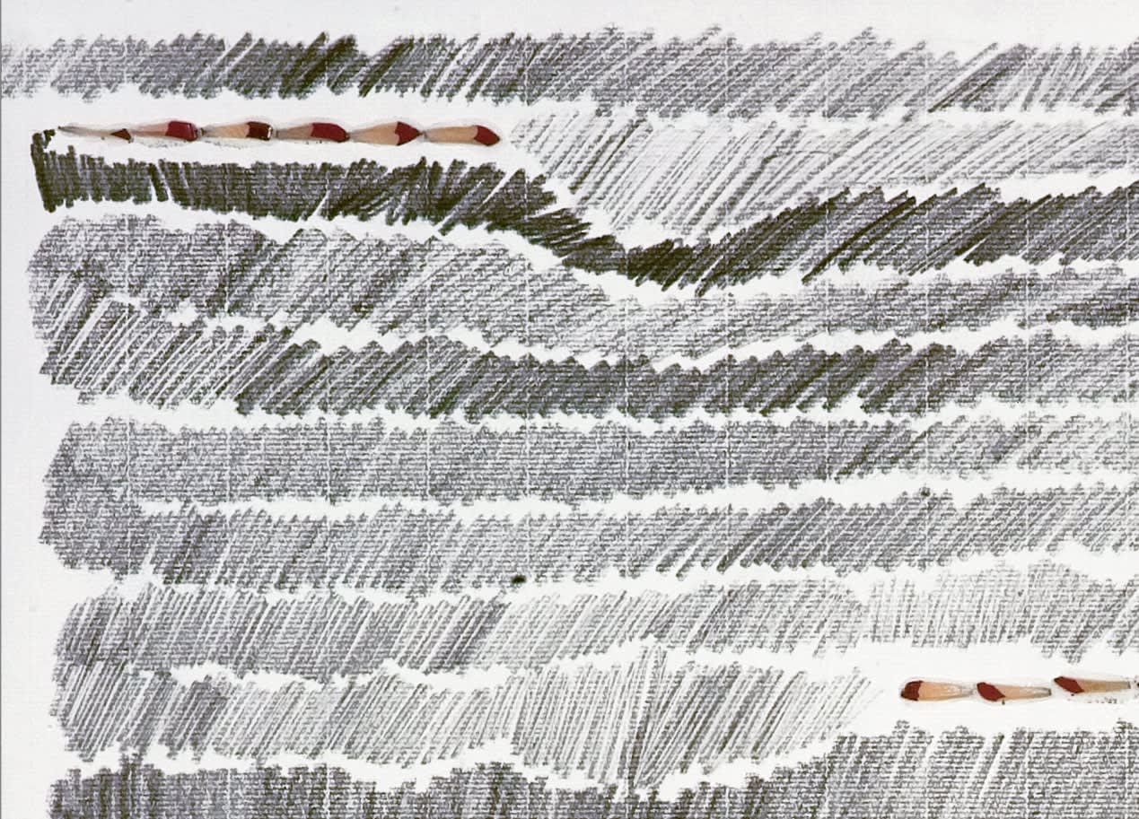 Shi Jin-Hua, Pen Walking #31, 2007