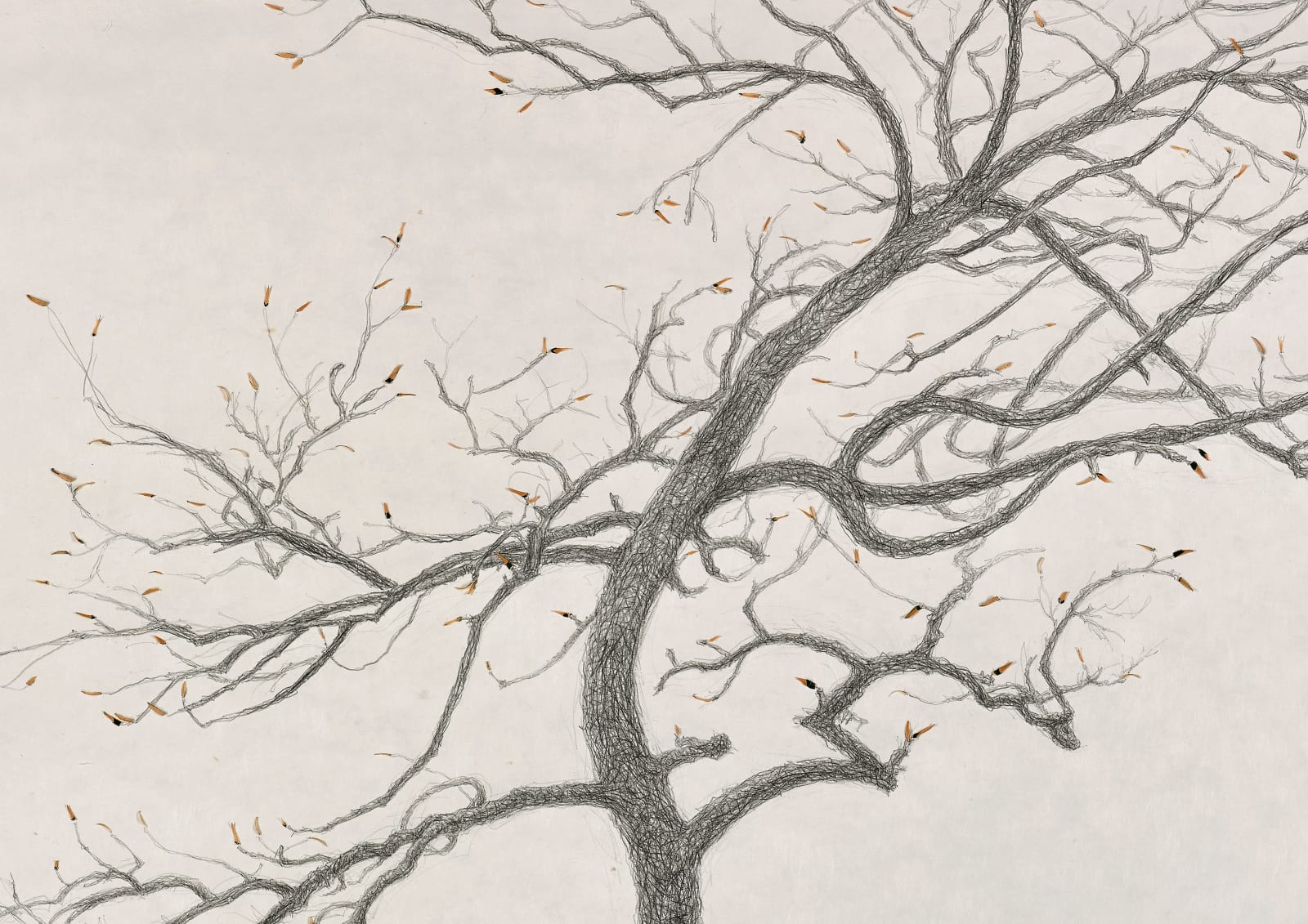 Shi Jin-Hua, The Sacrifice Tree - Sequel, 2016
