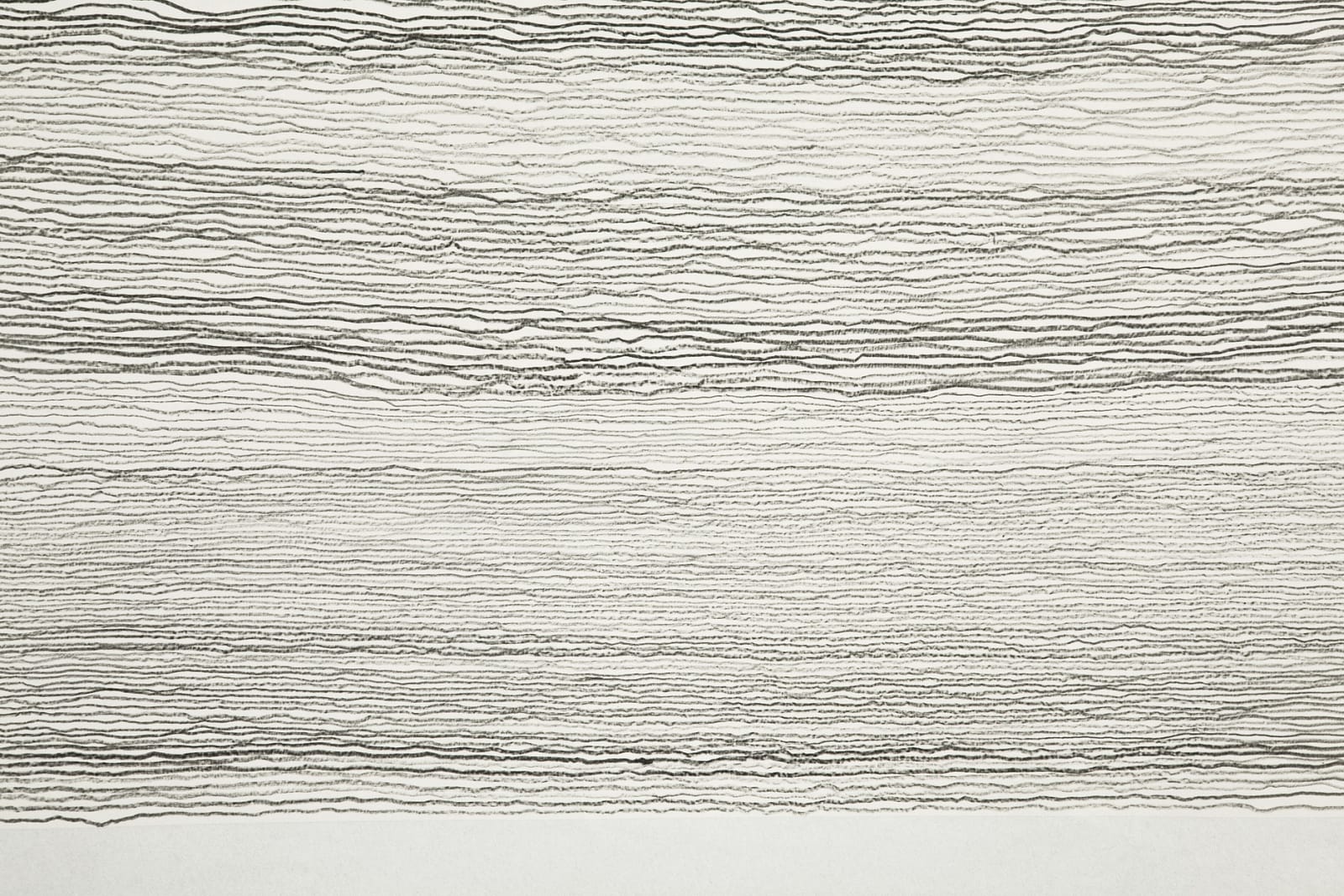 Shi Jin-Hua, Pen Walking #114, 2011