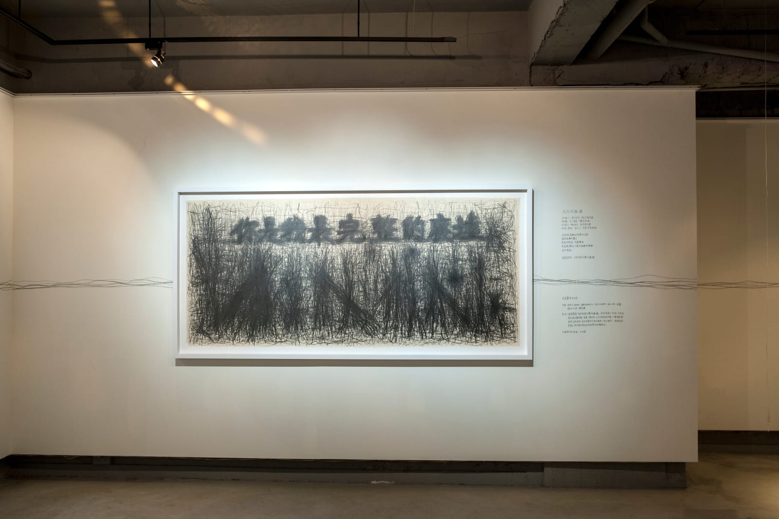 Shi Jin-Hua, Pen Walking #109, 2011