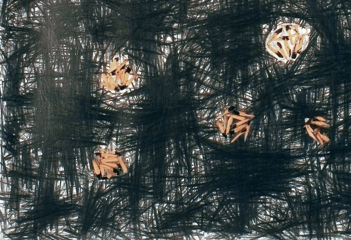 Shi Jin-Hua, Pen Walking #26, 2007
