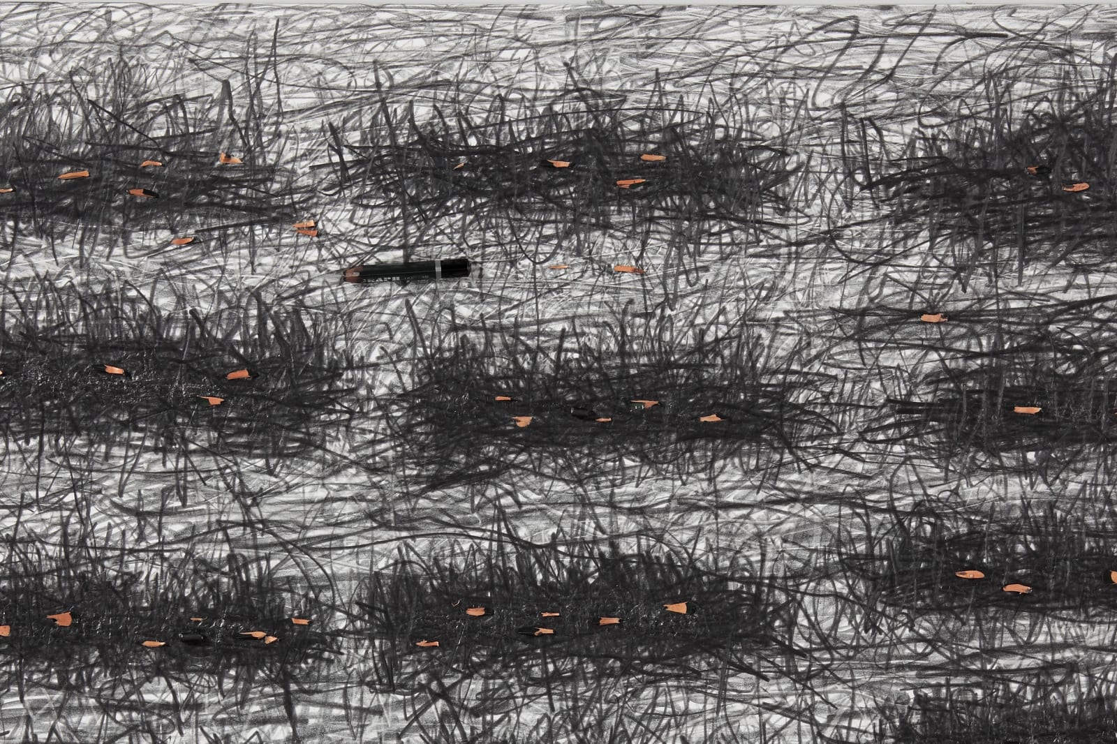 Shi Jin-Hua, Pen Walking #132, 2013