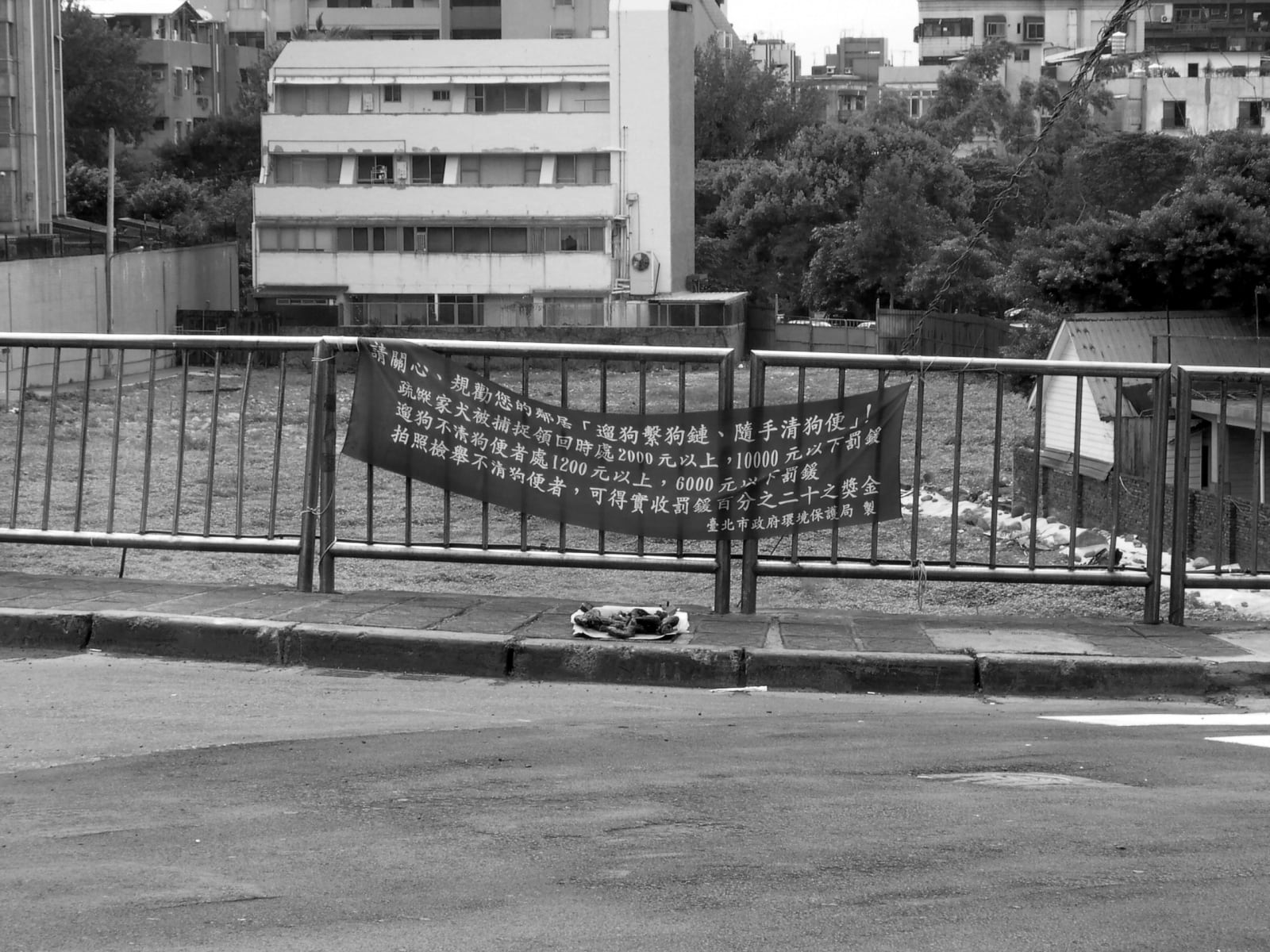 Shi Jin-Hua, Cantonese-style Barbeque Project, 1996-2002