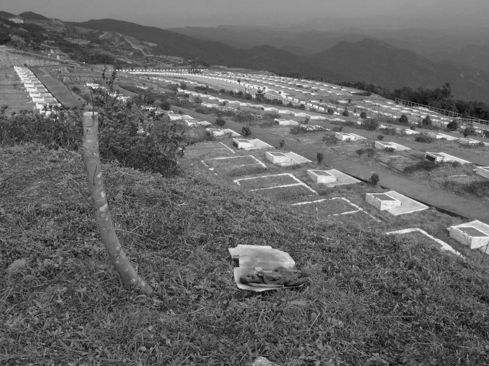 Shi Jin-Hua, Cantonese-style Barbeque Project, 1996-2002
