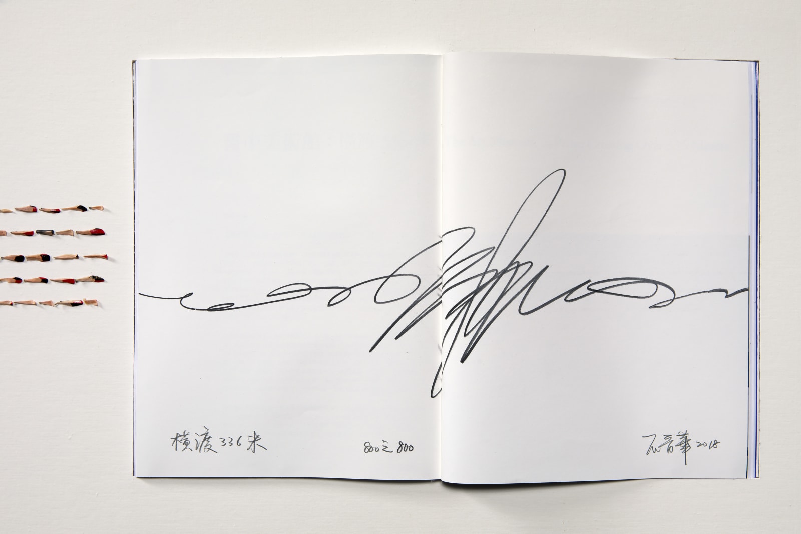 Shi Jin-Hua, Crossing Over 336 Meters 401-800 , 2018