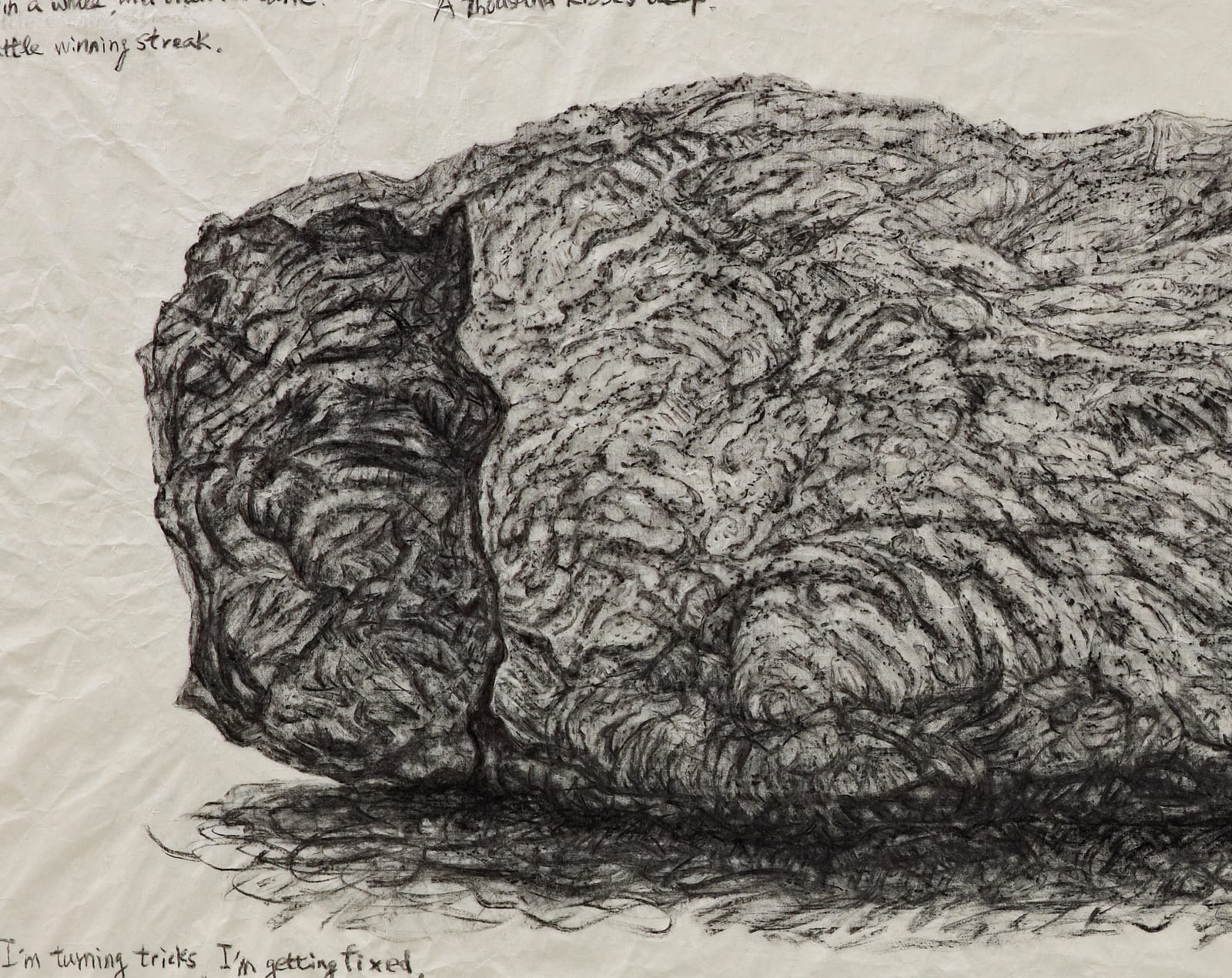 Shi Jin-Hua, Basalt under the Bodhi Tree