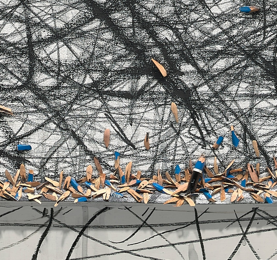 Shi Jin-Hua, Pen Walking #177, 2017-2021