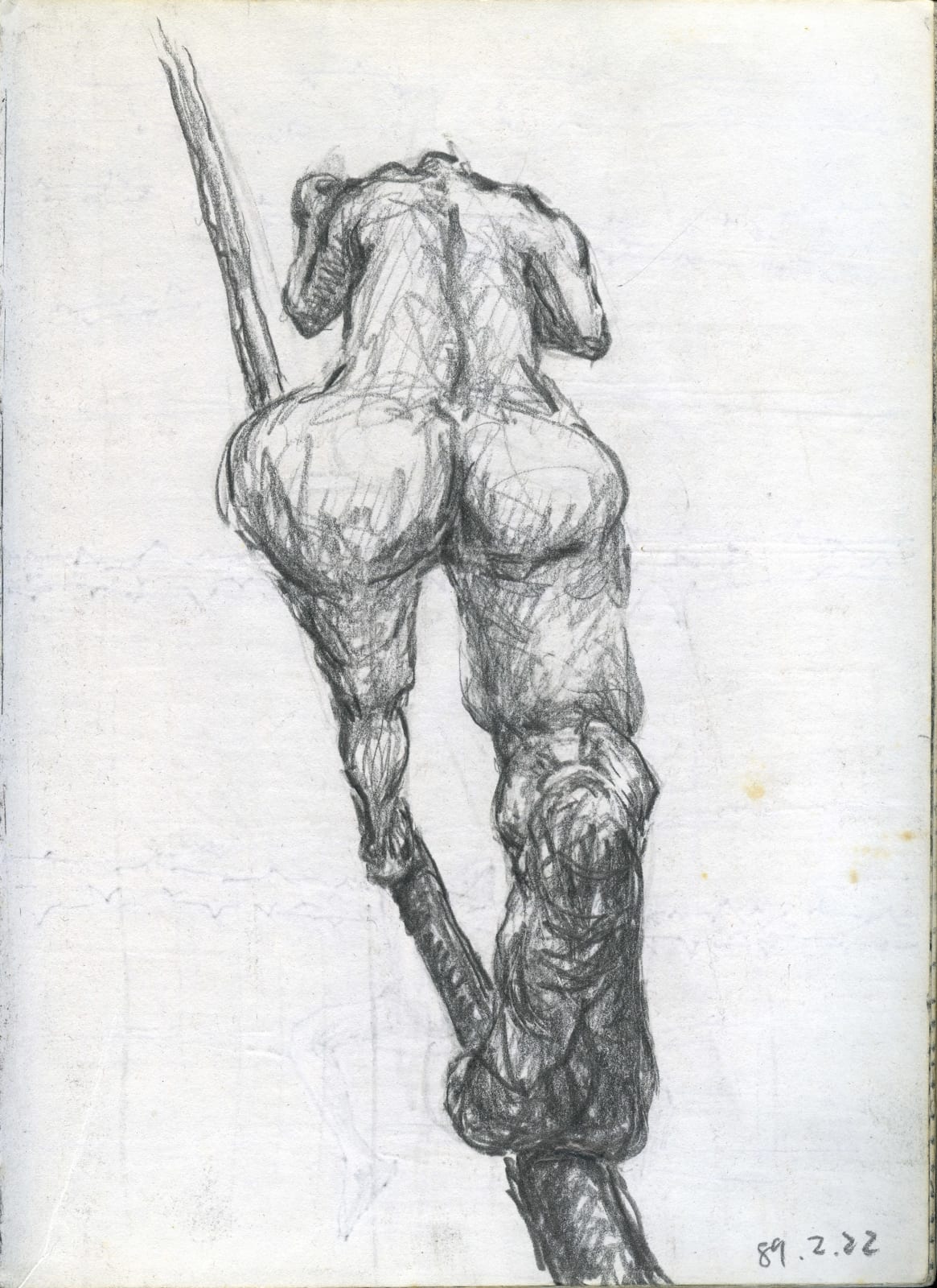 Shi Jin-Hua, A Tightrope walking, 1987-1988