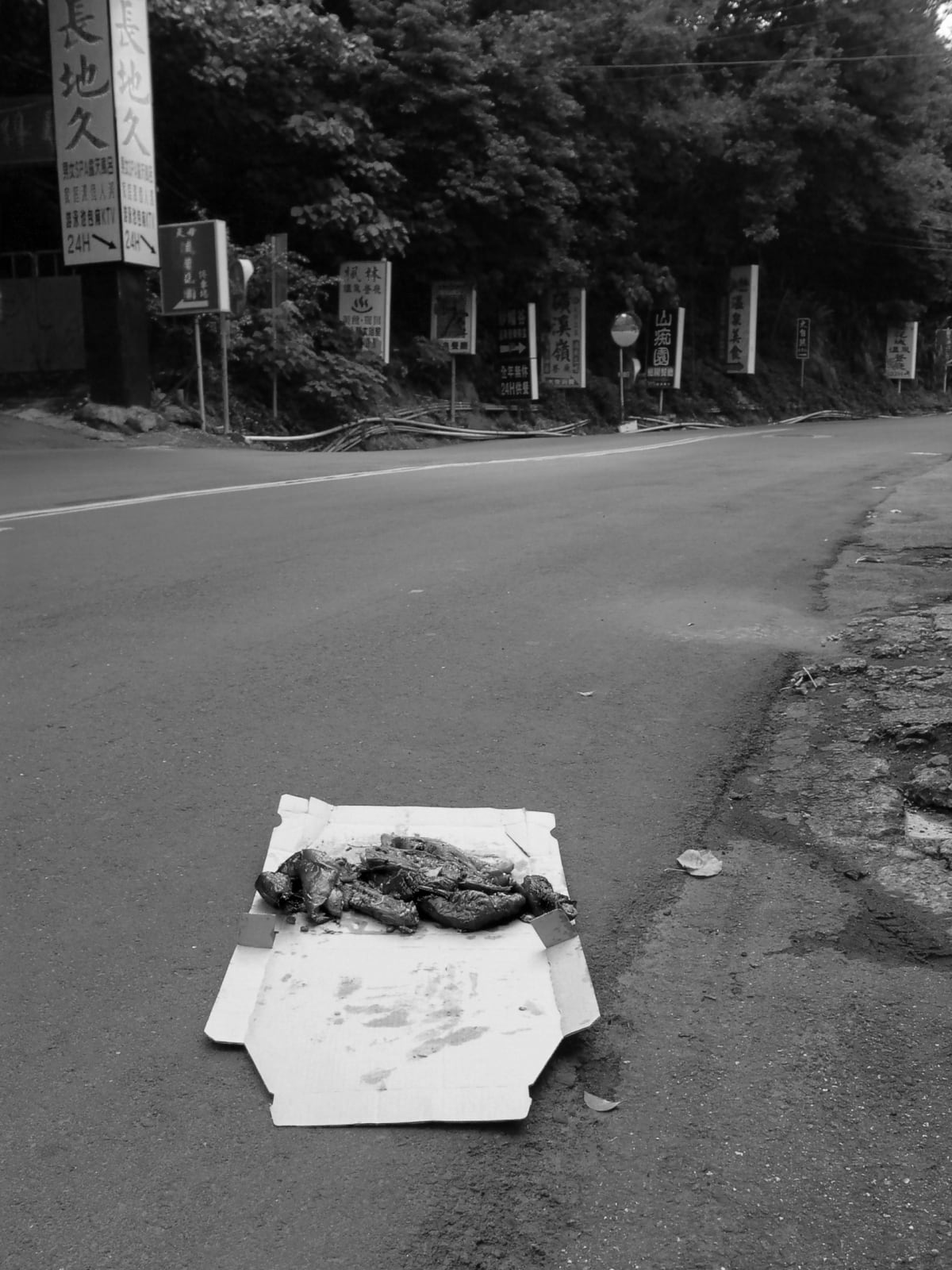Shi Jin-Hua, Cantonese-style Barbeque Project, 1996-2002