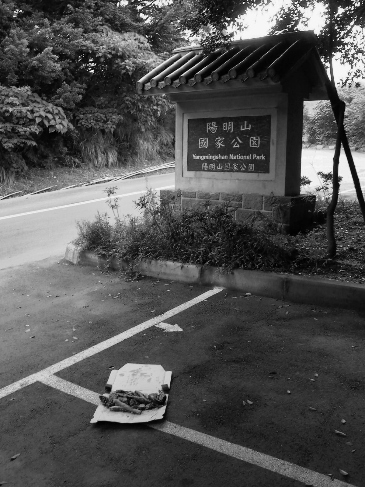 Shi Jin-Hua, Cantonese-style Barbeque Project, 1996-2002