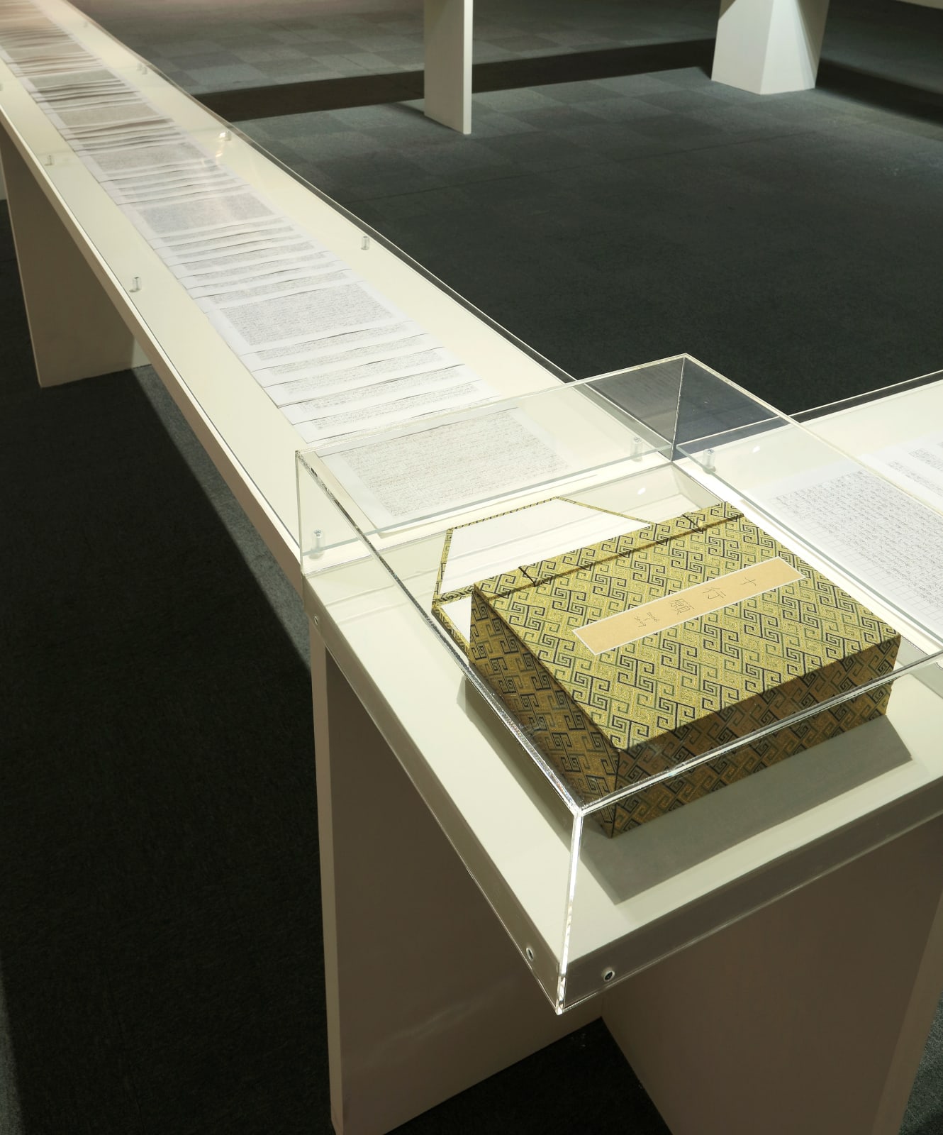 Shi Jin-Hua, Ten Practices and Vows, 2006-2009
