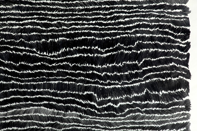 Shi Jin-Hua, Pen Walking #74, 2009