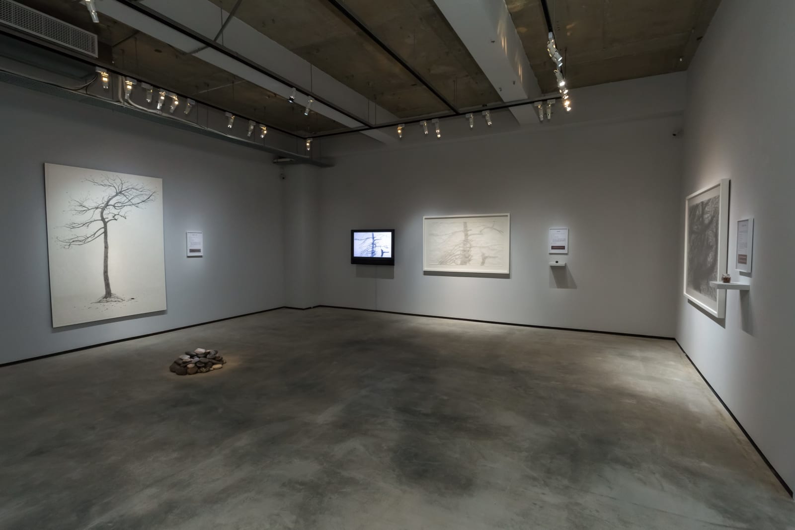 Shi Jin-Hua, The Sacrifice Tree - Sequel, 2016
