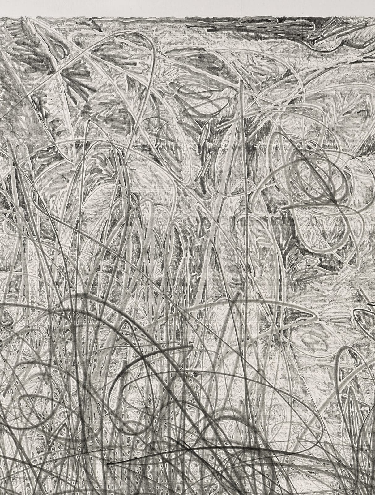 Shi Jin-Hua, Lines of Music Op.01, 2015
