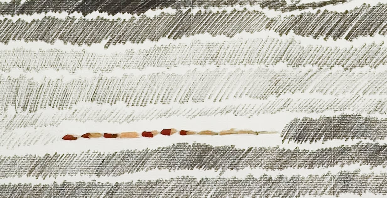 Shi Jin-Hua, Pen Walking #31, 2007