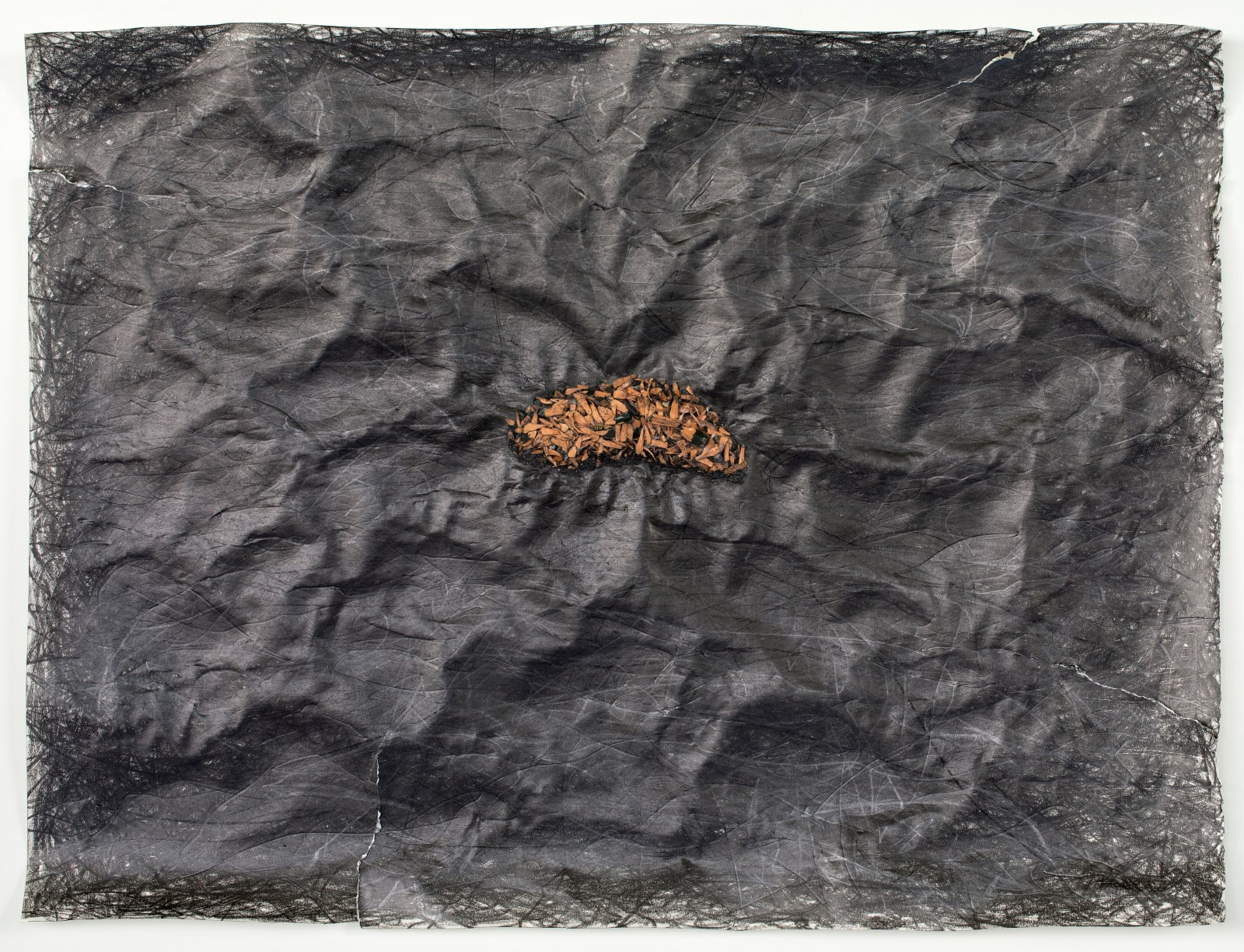 Shi Jin-Hua, Diaoyutai Islets, 2016-2018