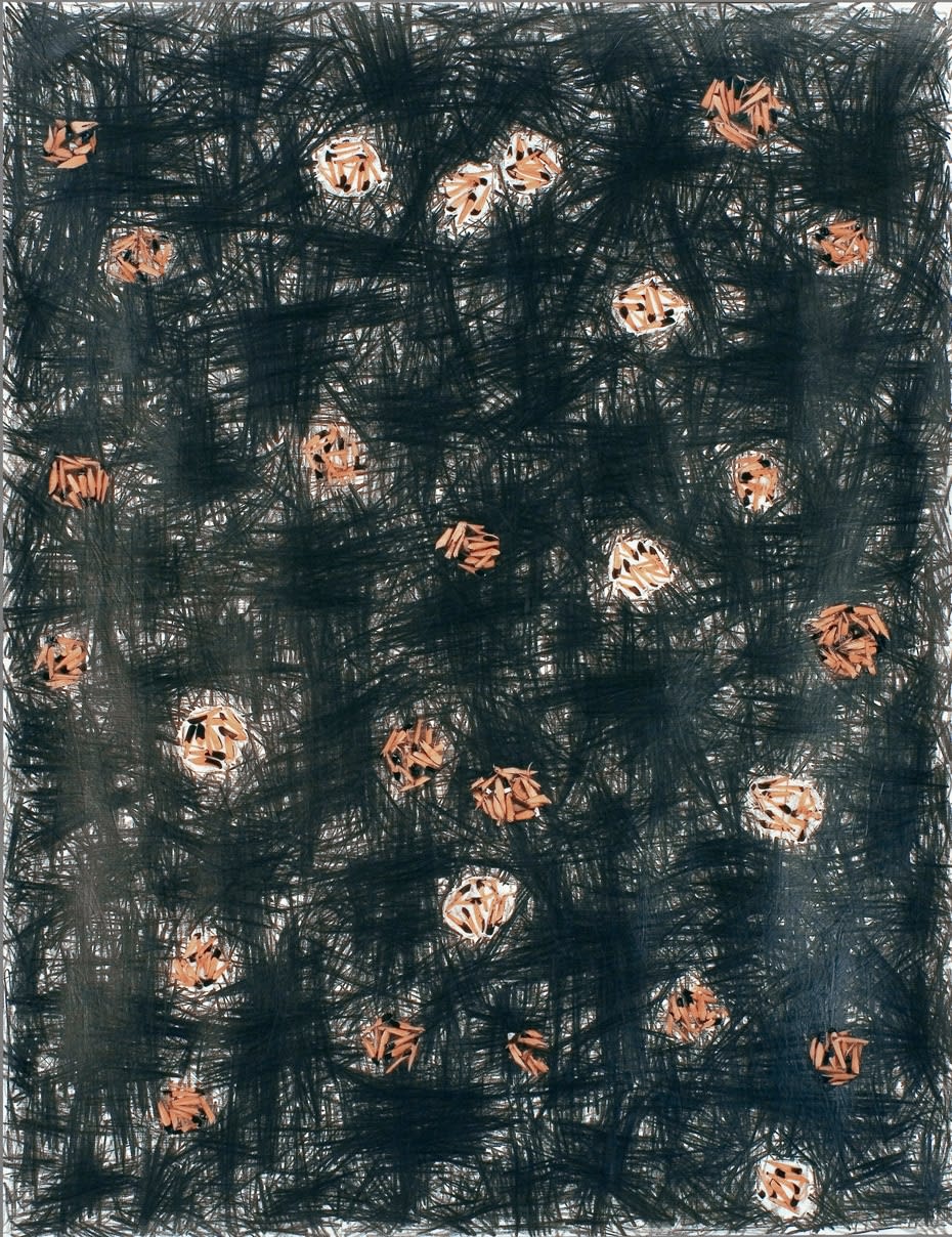 Shi Jin-Hua, Pen Walking #26, 2007