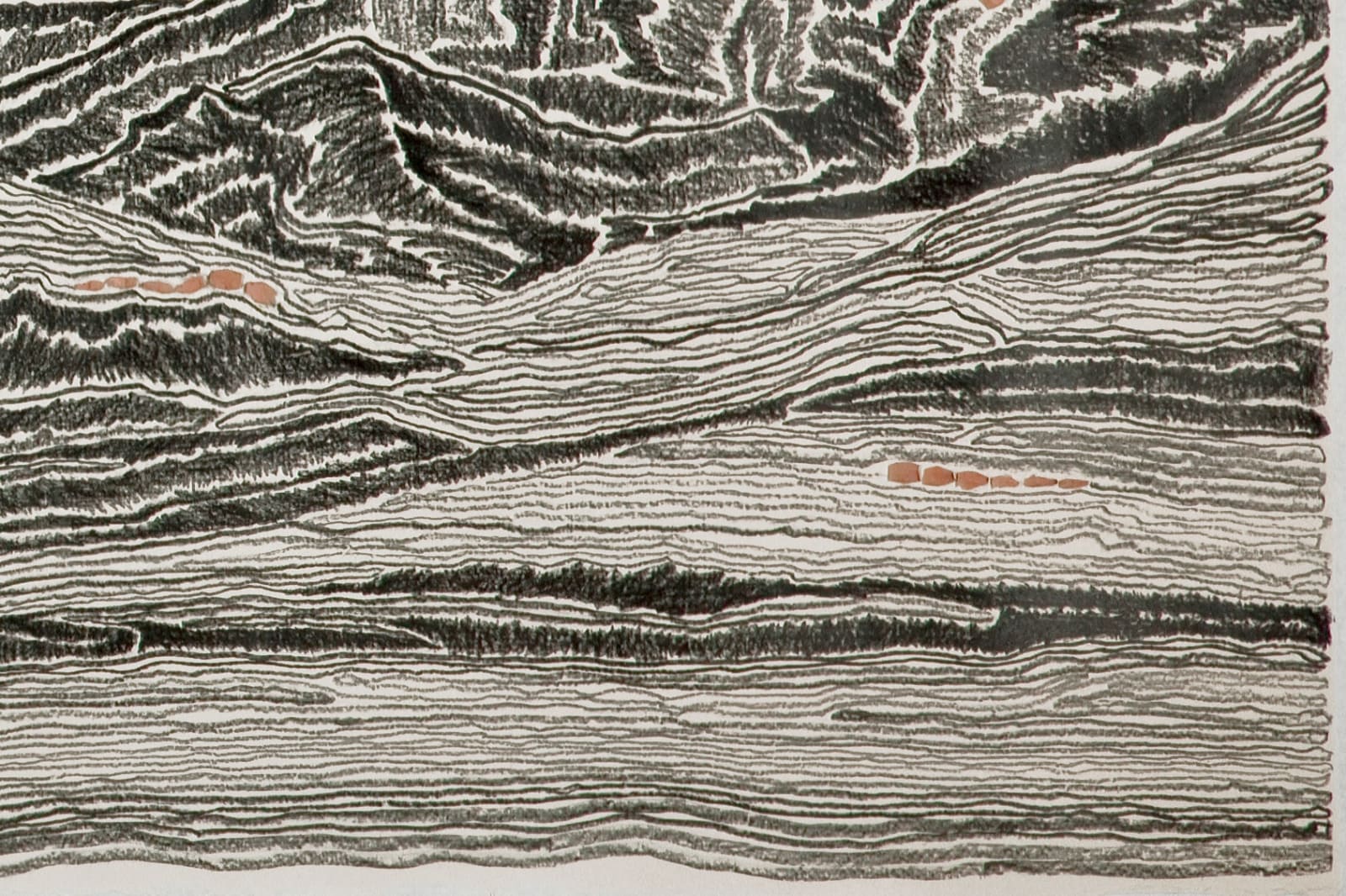 Shi Jin-Hua, Pen Walking #112, 2011