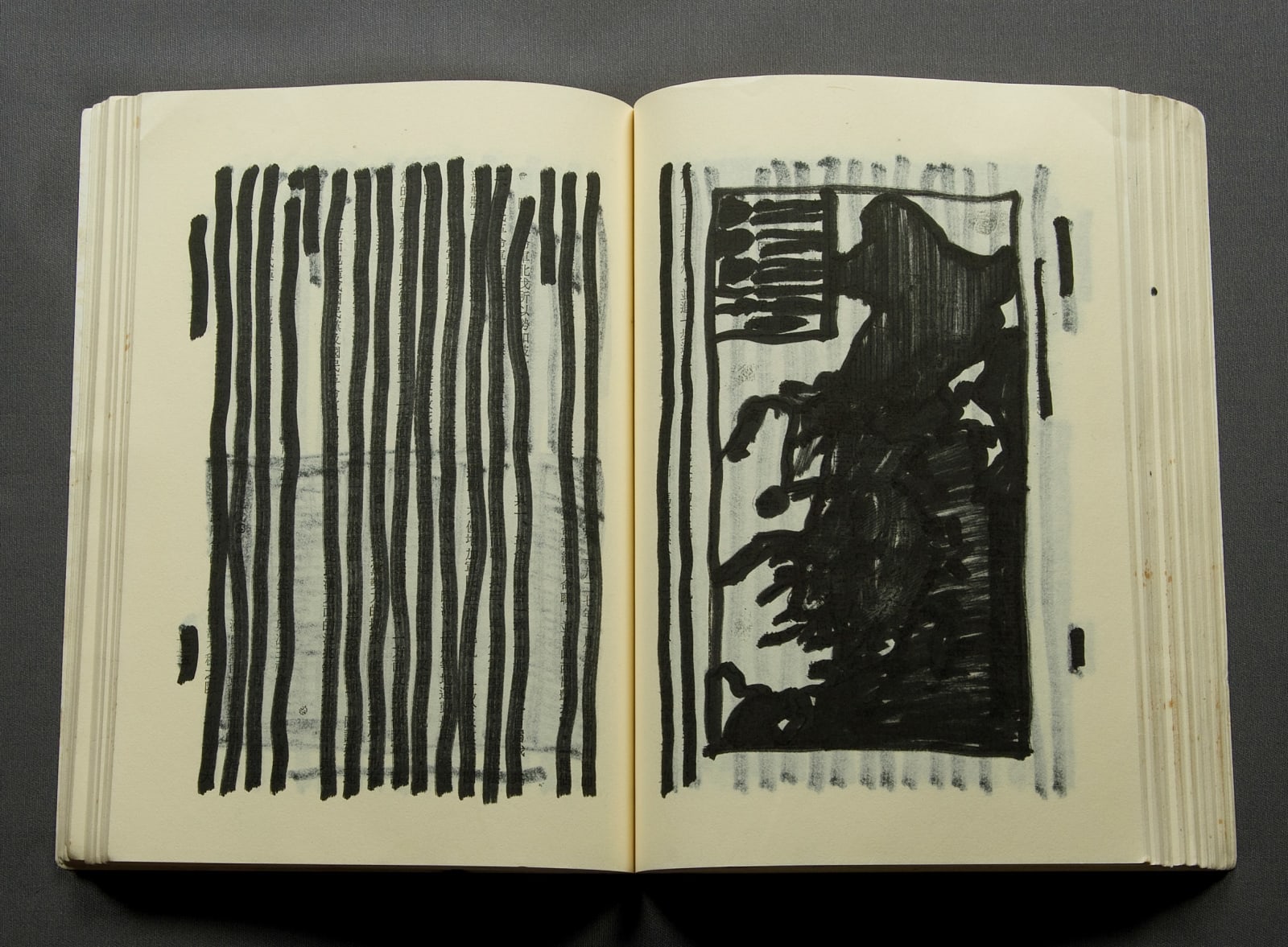 Shi Jin-Hua, Modern Chinese History, 2005-2009