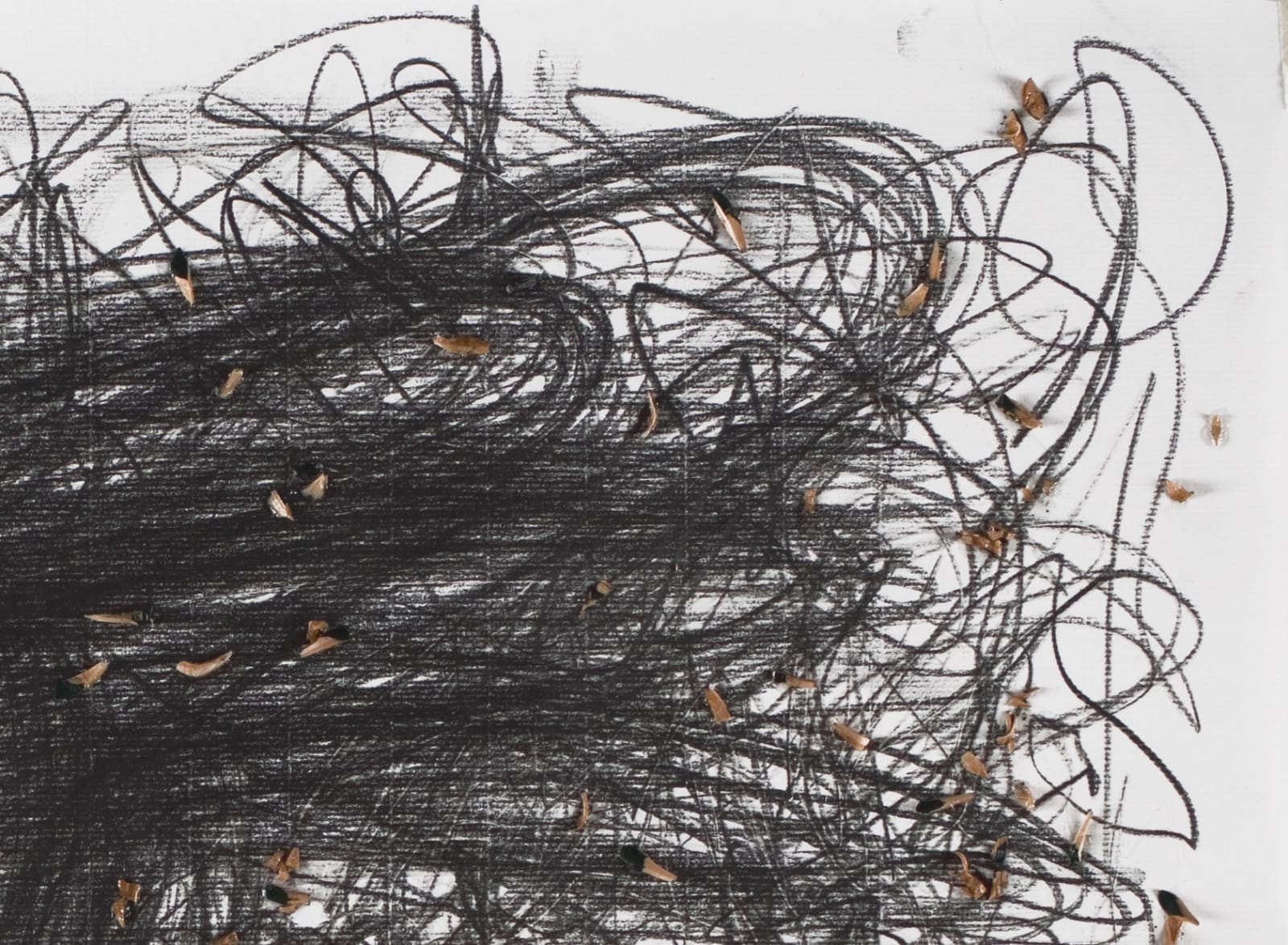 Shi Jin-Hua, Pen Walking #62, 2008