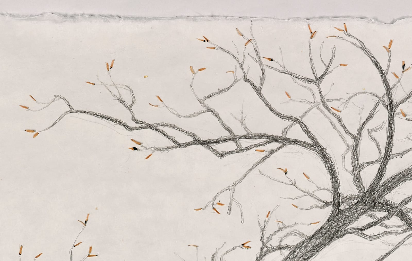 Shi Jin-Hua, The Sacrifice Tree - Sequel, 2016