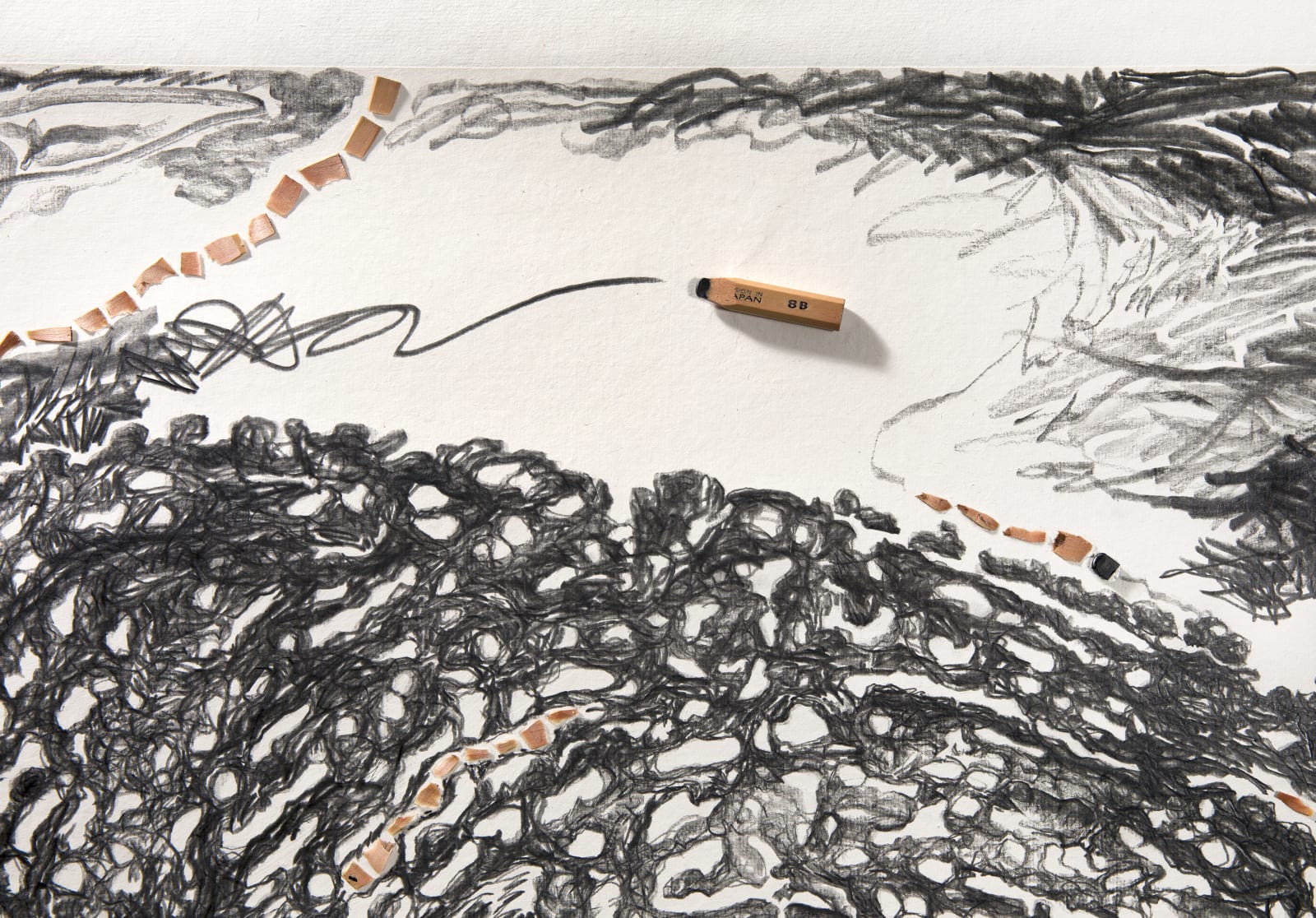Shi Jin-Hua, Pen Walking #172, 2019