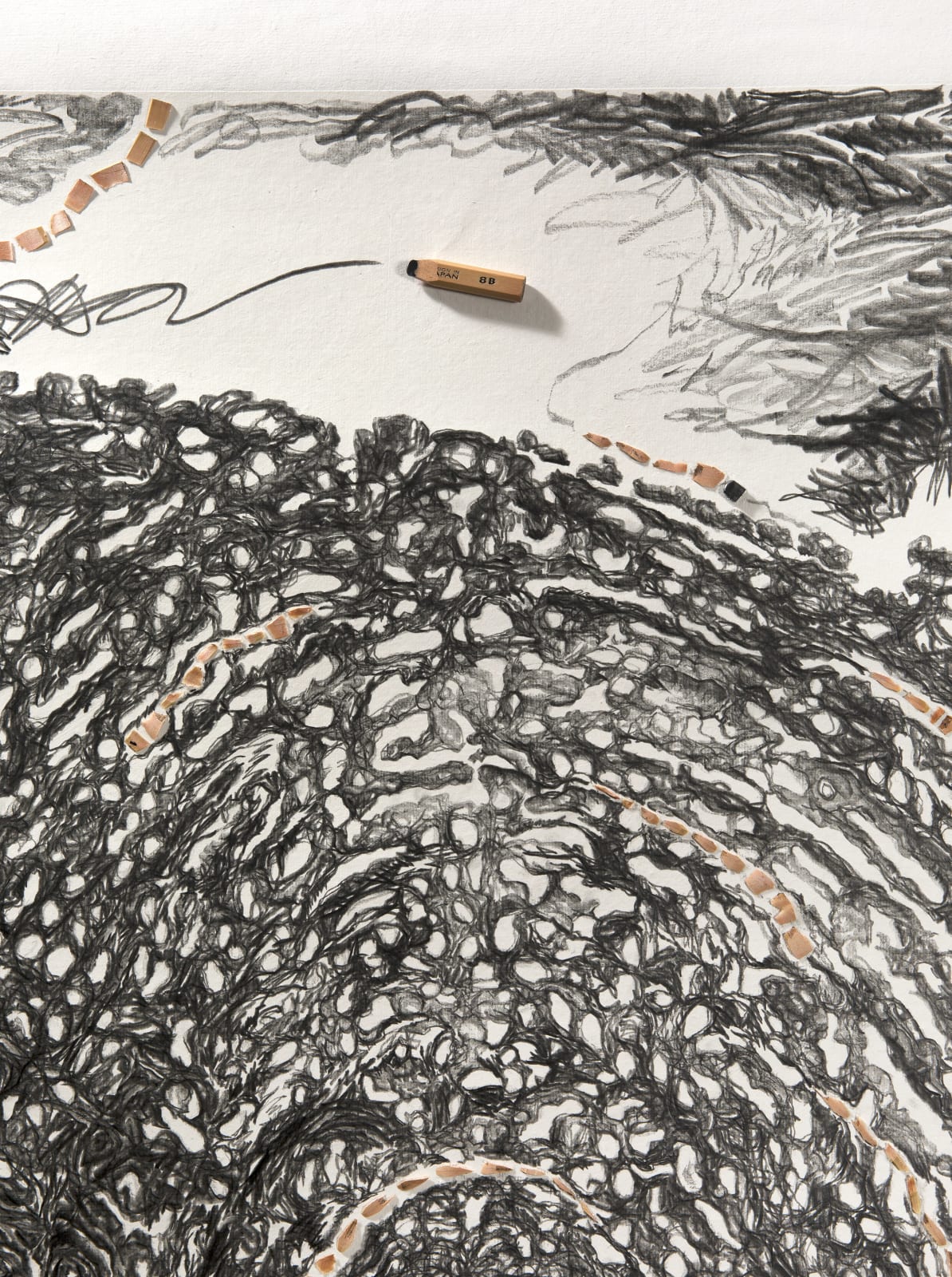 Shi Jin-Hua, Pen Walking #172, 2019