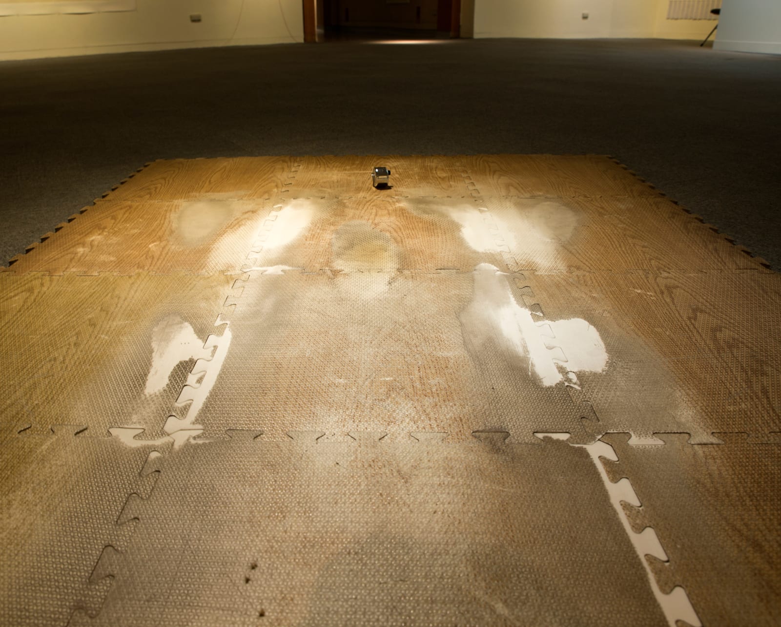 Shi Jin-Hua, Body Inscription, 2001-