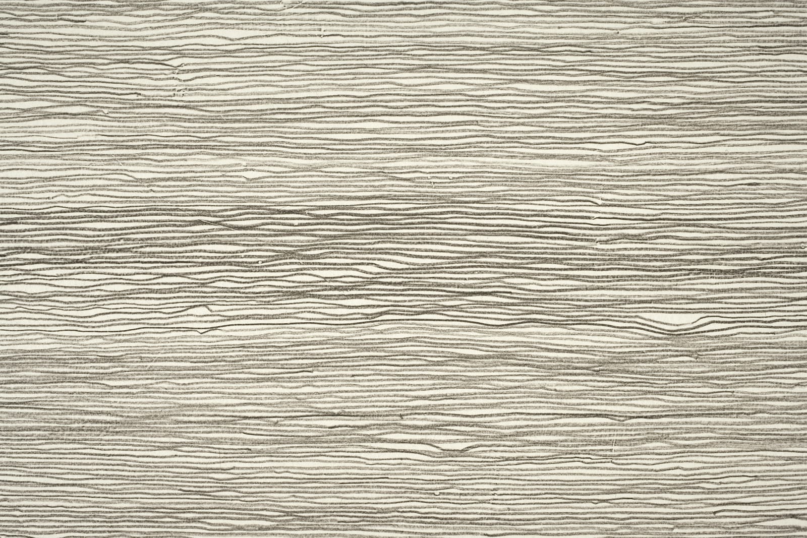Shi Jin-Hua, Pen Walking #61, 2008