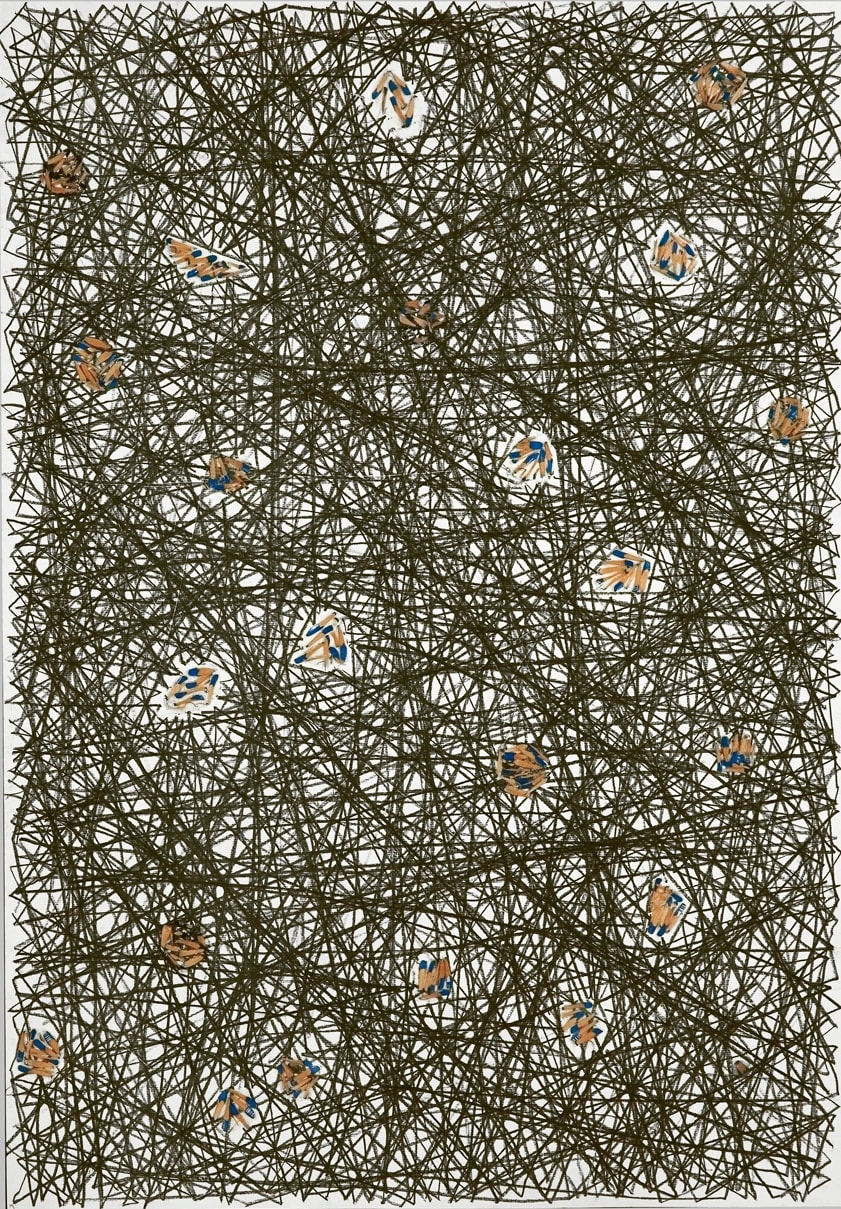 Shi Jin-Hua, Pen Walking #40, 2007