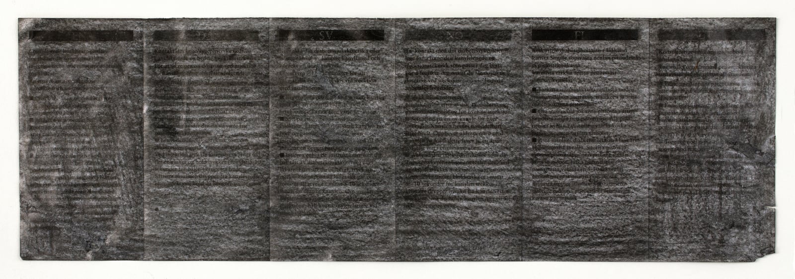 Shi Jin-Hua, Pen Walking #95, 2011