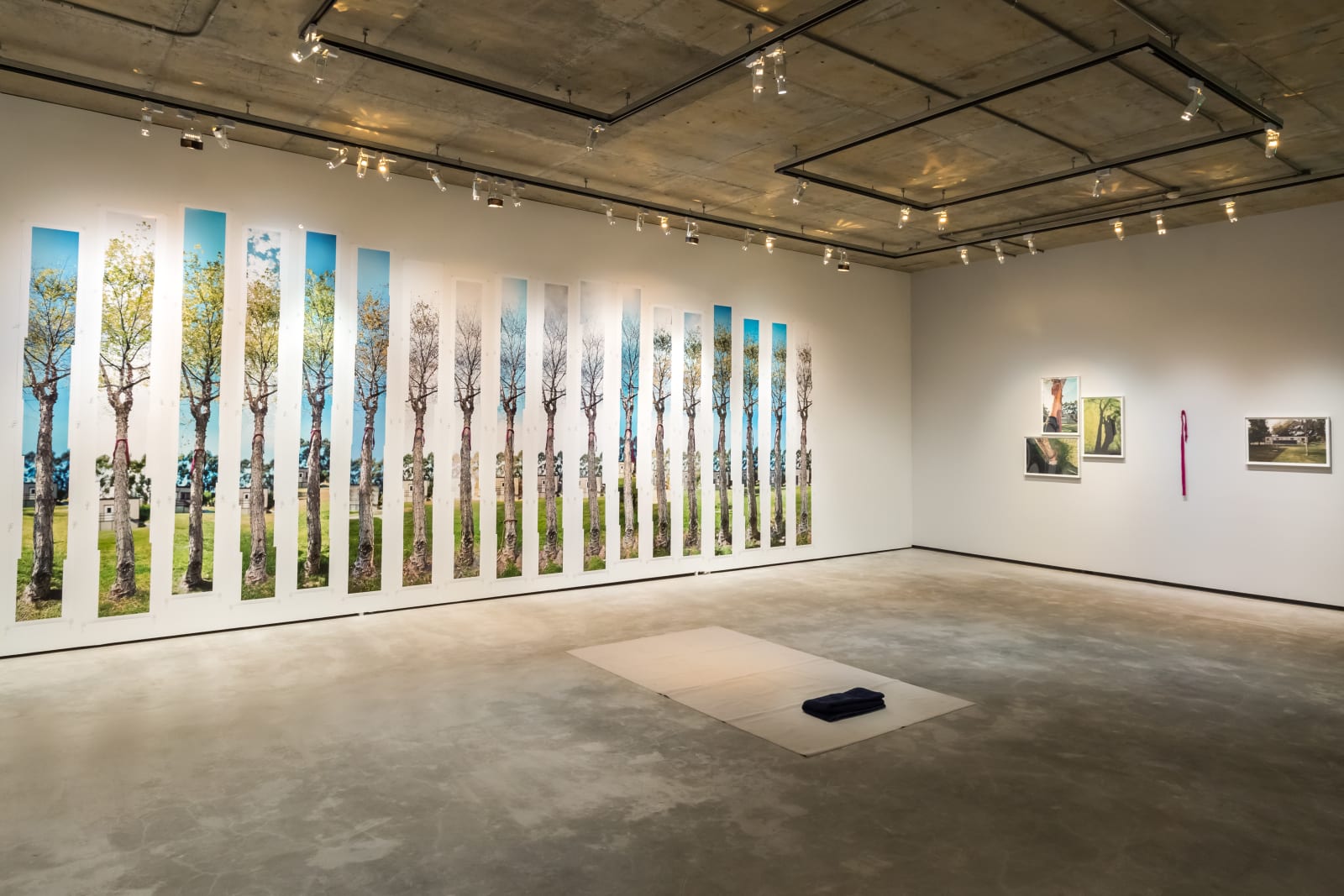 Shi Jin-Hua, The Yoga Tree, 1994-1996