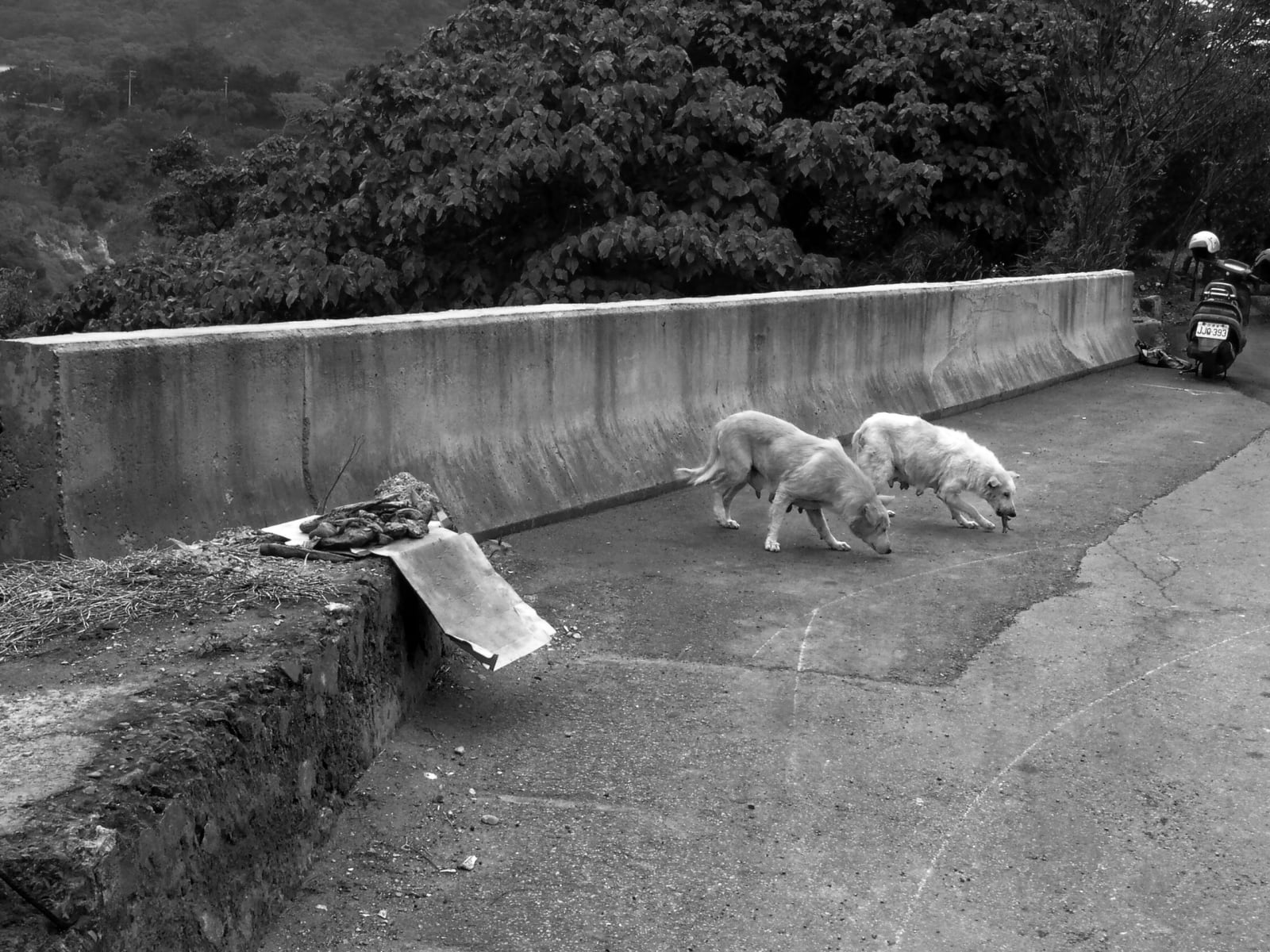 Shi Jin-Hua, Cantonese-style Barbeque Project, 1996-2002