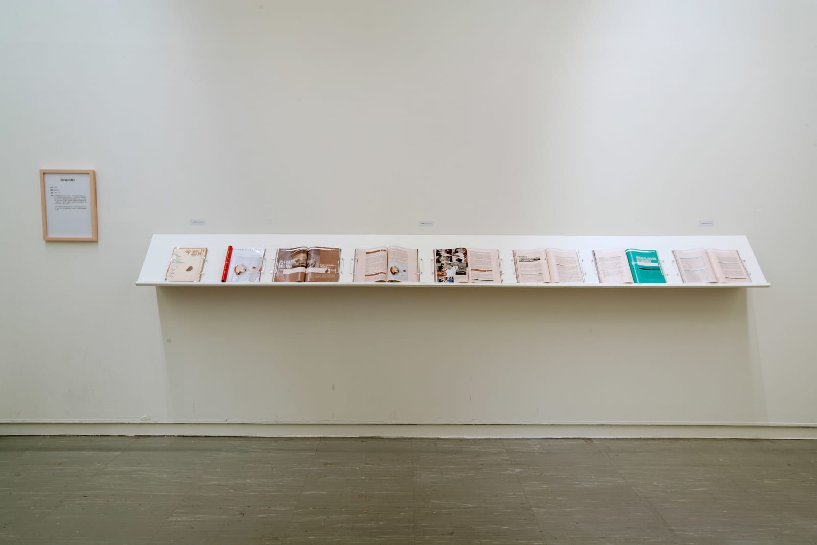 Shi Jin-Hua, Contemporary Art Alchemy, Part III - Cover Project, 2010