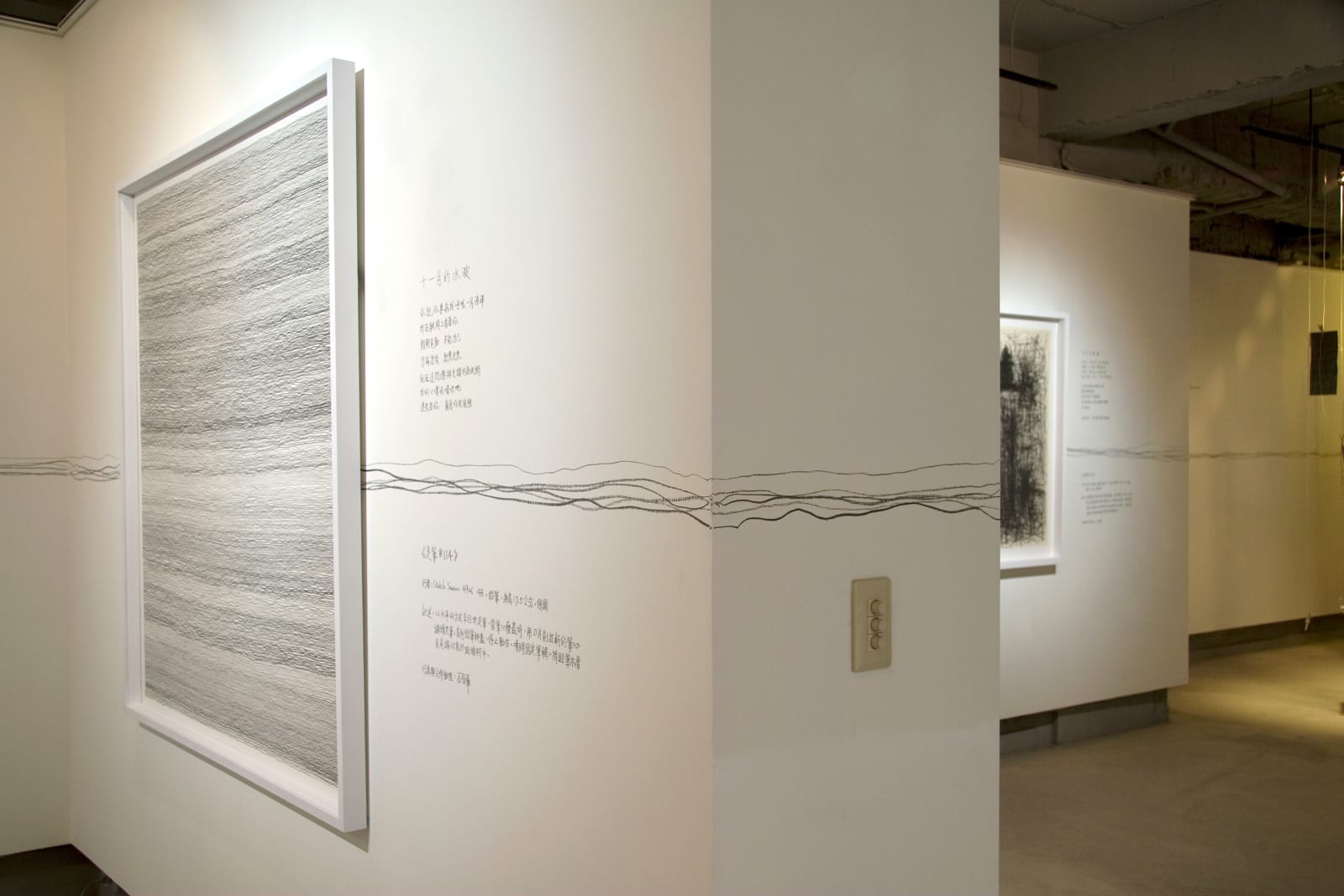 Shi Jin-Hua, Pen Walking #116, 2011