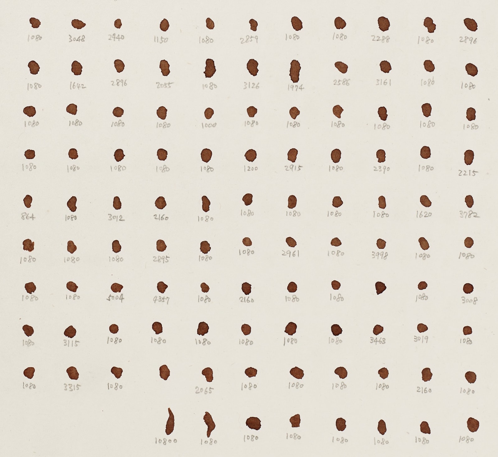 Shi Jin-Hua, One Thousand Days, 2012.04.20-2015.01.14
