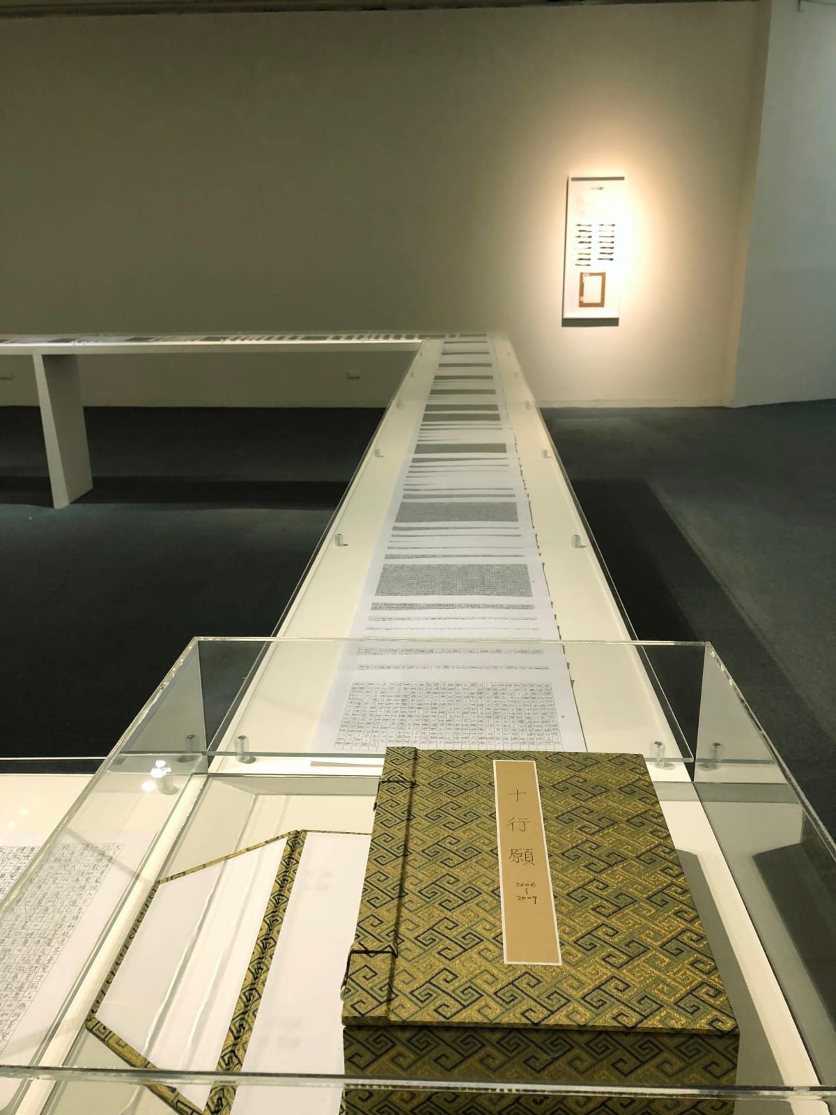 Shi Jin-Hua, Ten Practices and Vows, 2006-2009