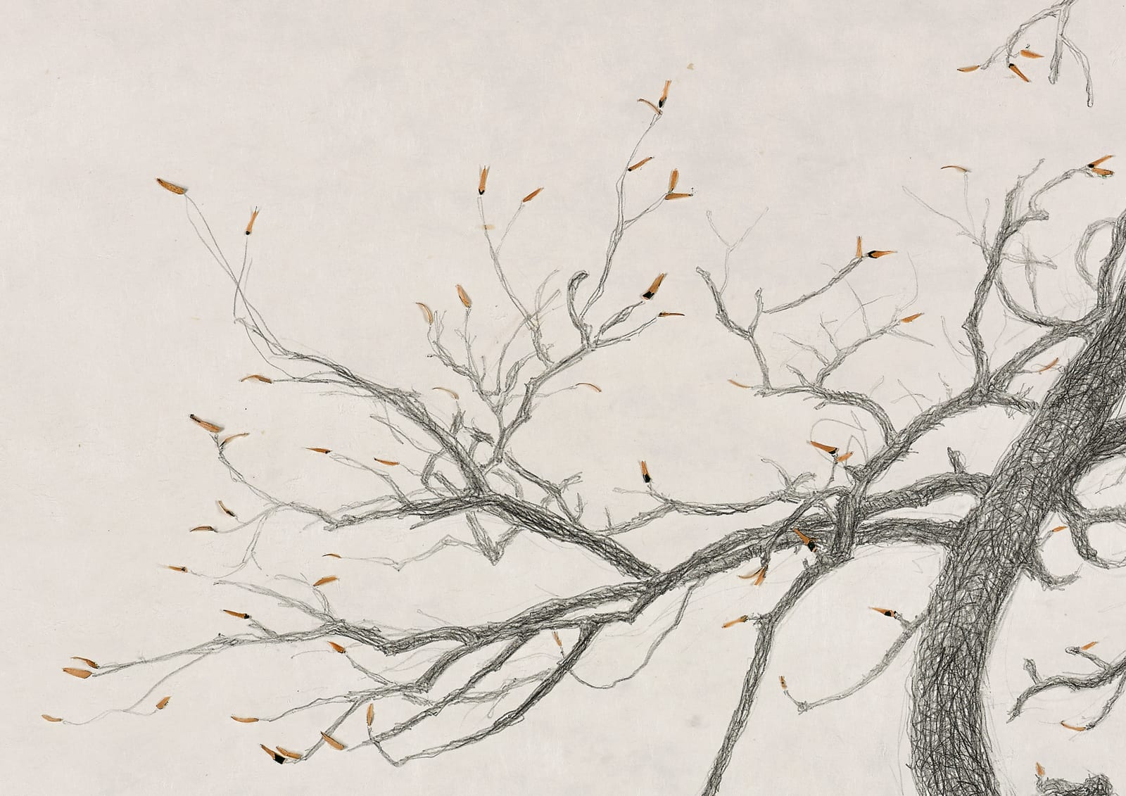 Shi Jin-Hua, The Sacrifice Tree - Sequel, 2016