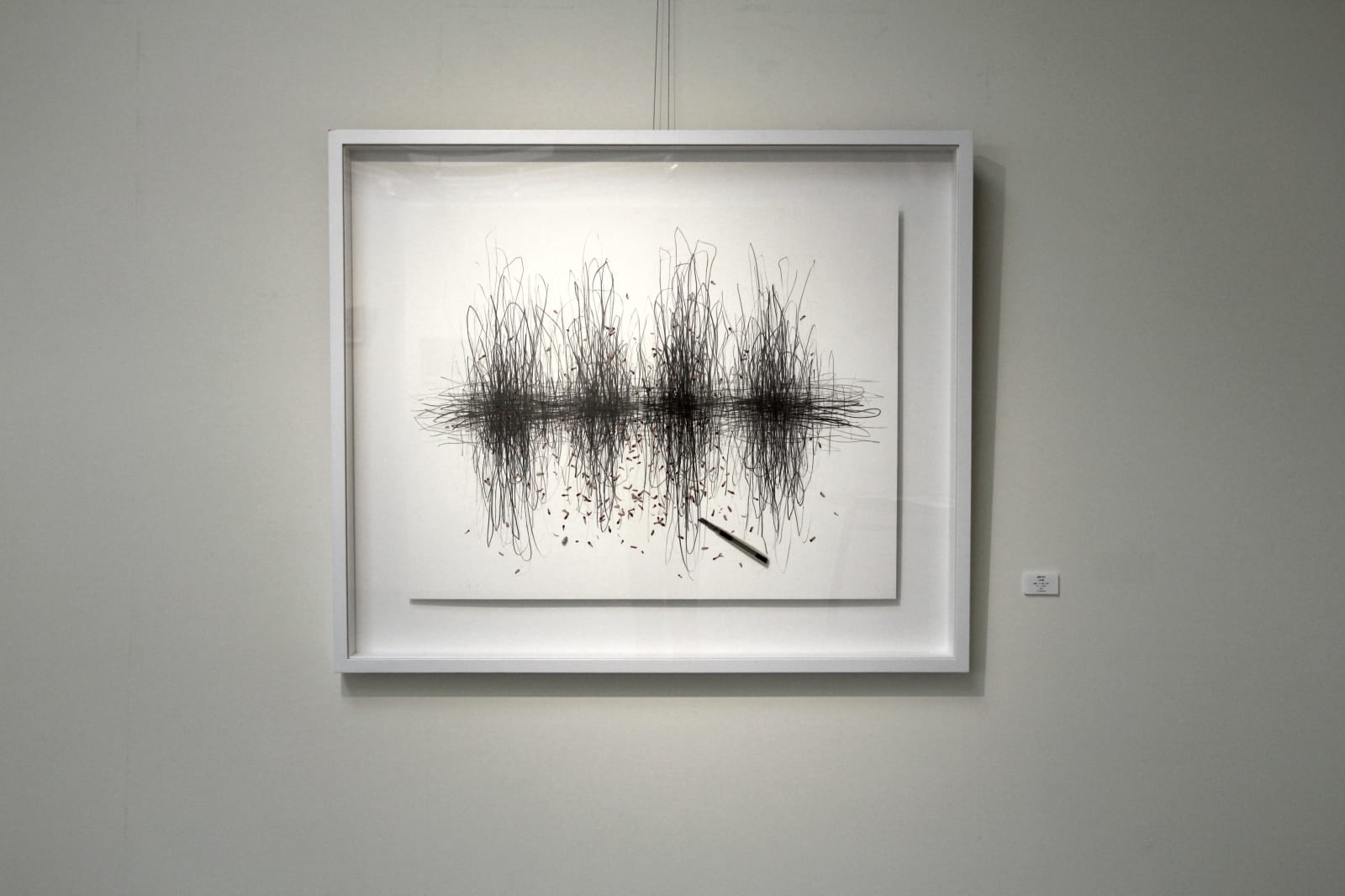 Shi Jin-Hua, Pen Walking #134, 2013