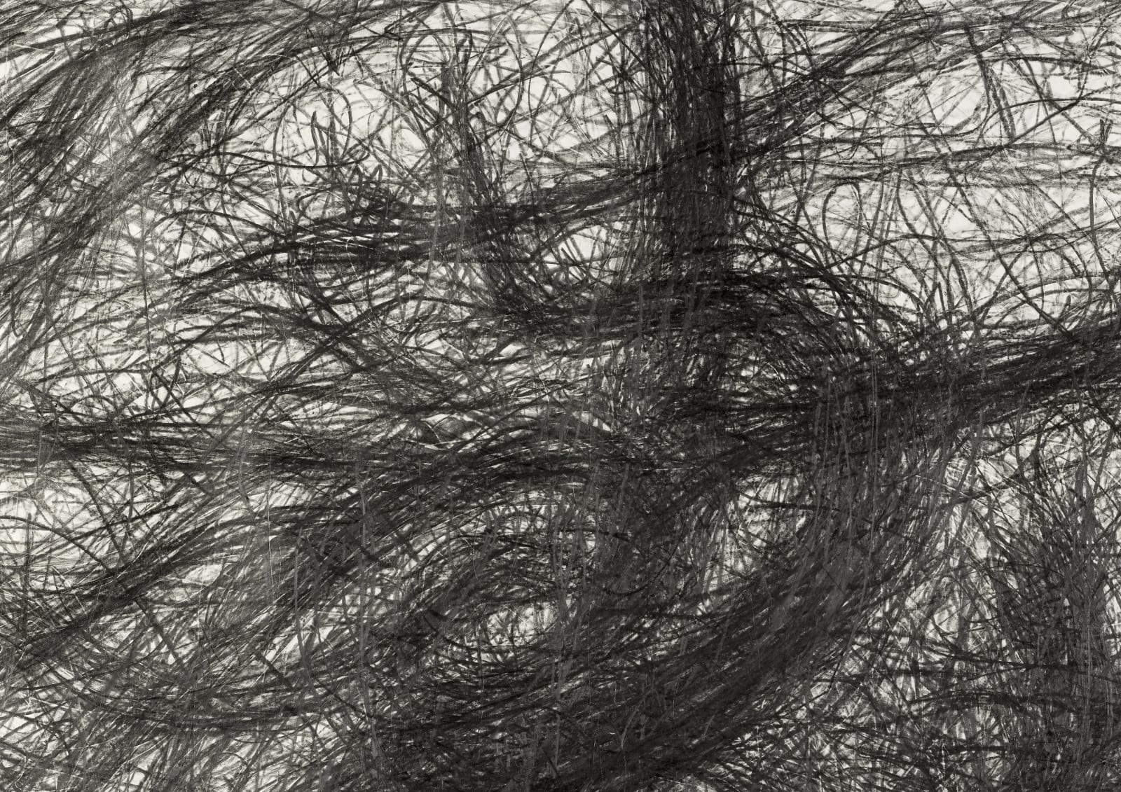 Shi Jin-Hua, The Sacrifice Tree – Prequel, 2012-2016