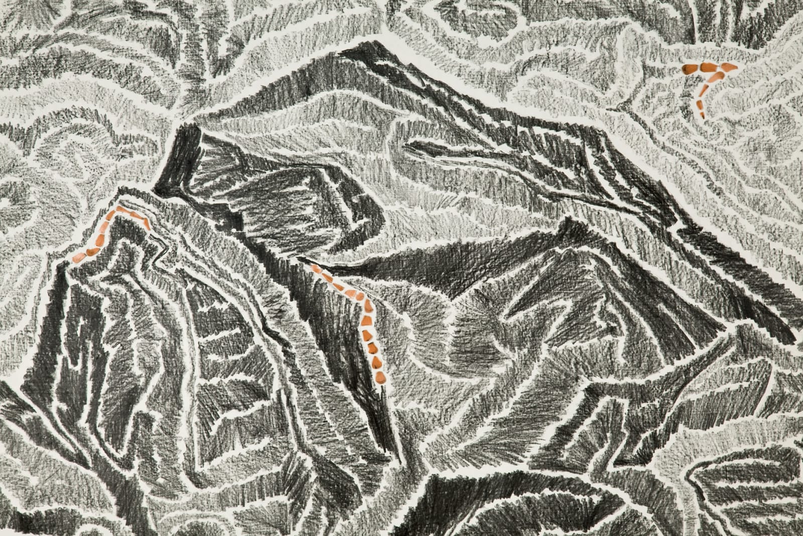 Shi Jin-Hua, Pen Walking #99, 2011