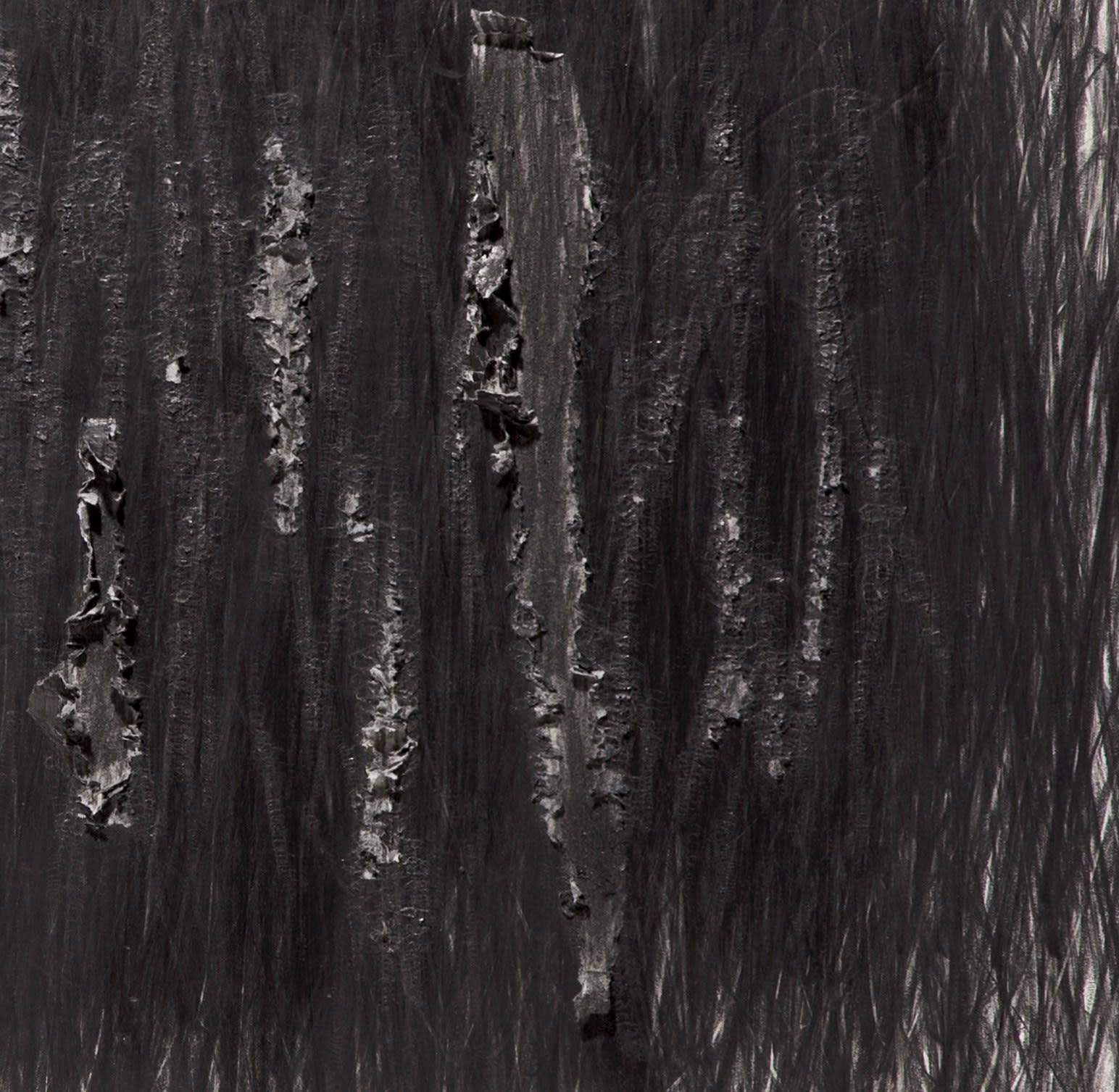 Shi Jin-Hua, Pen Walking #80, 2010
